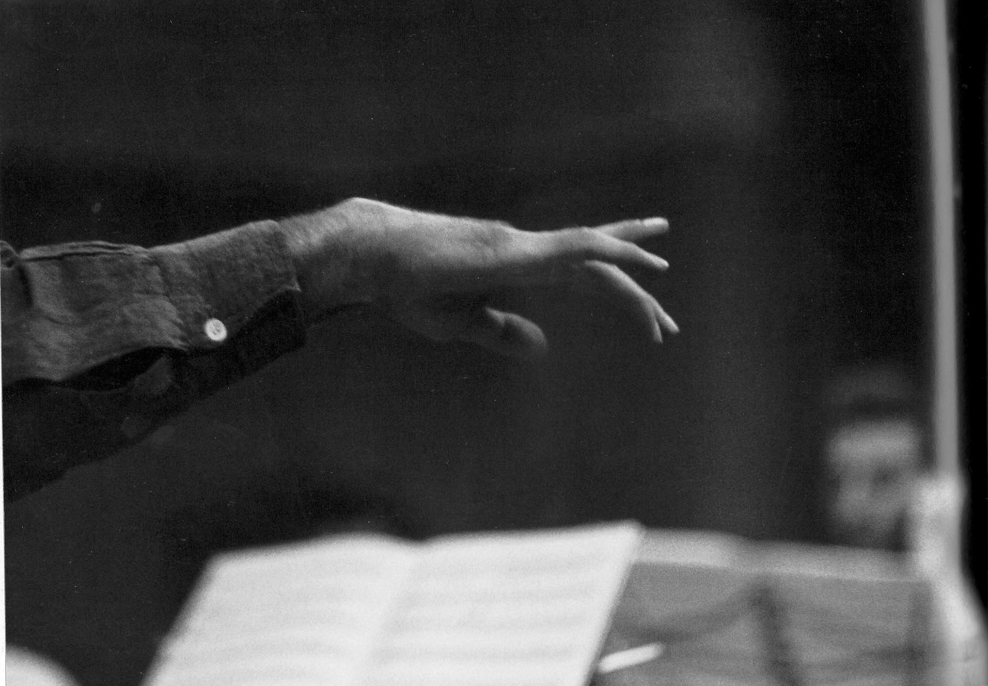 ROY DE CARAVA