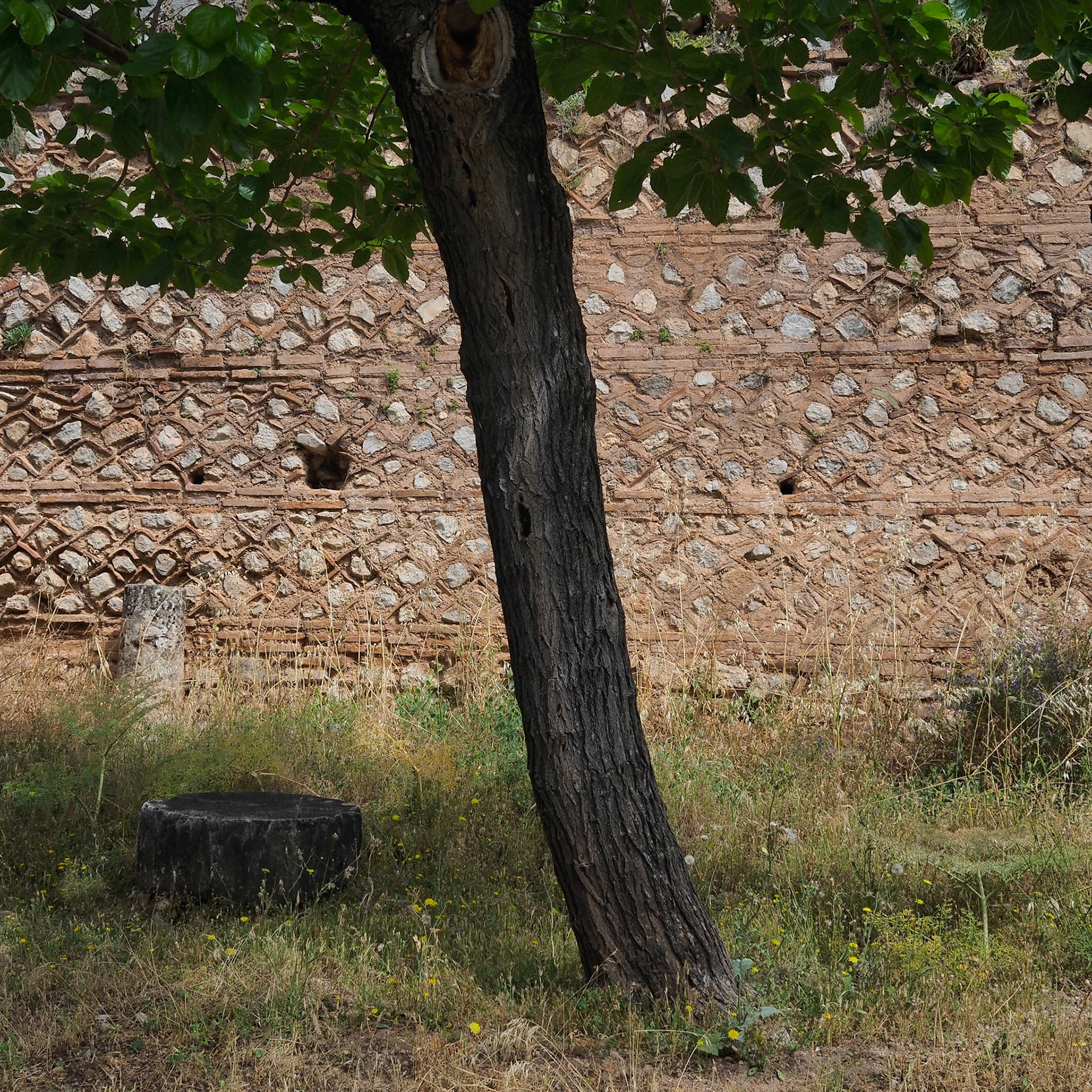 DIMITRI SKALISTIRIS