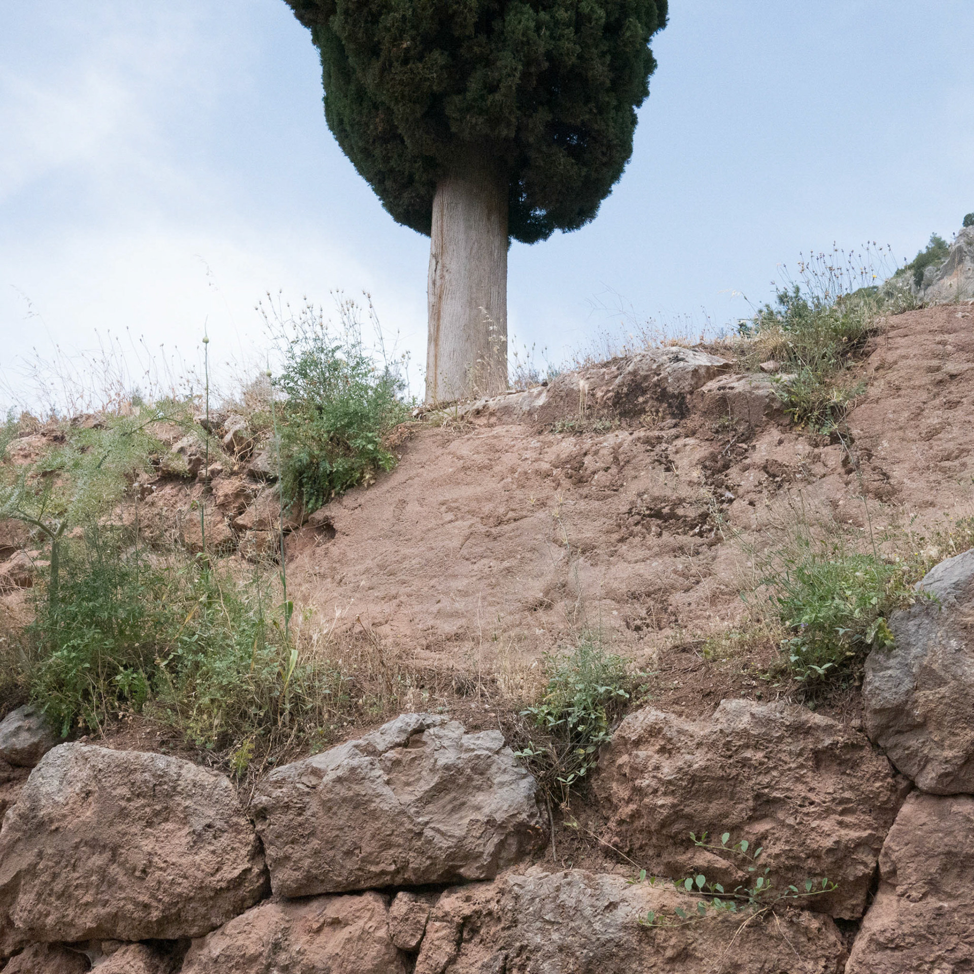DIONISIA
