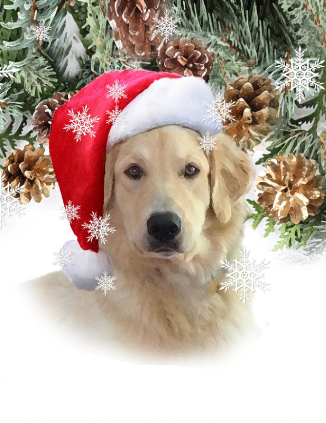 Holiday Art