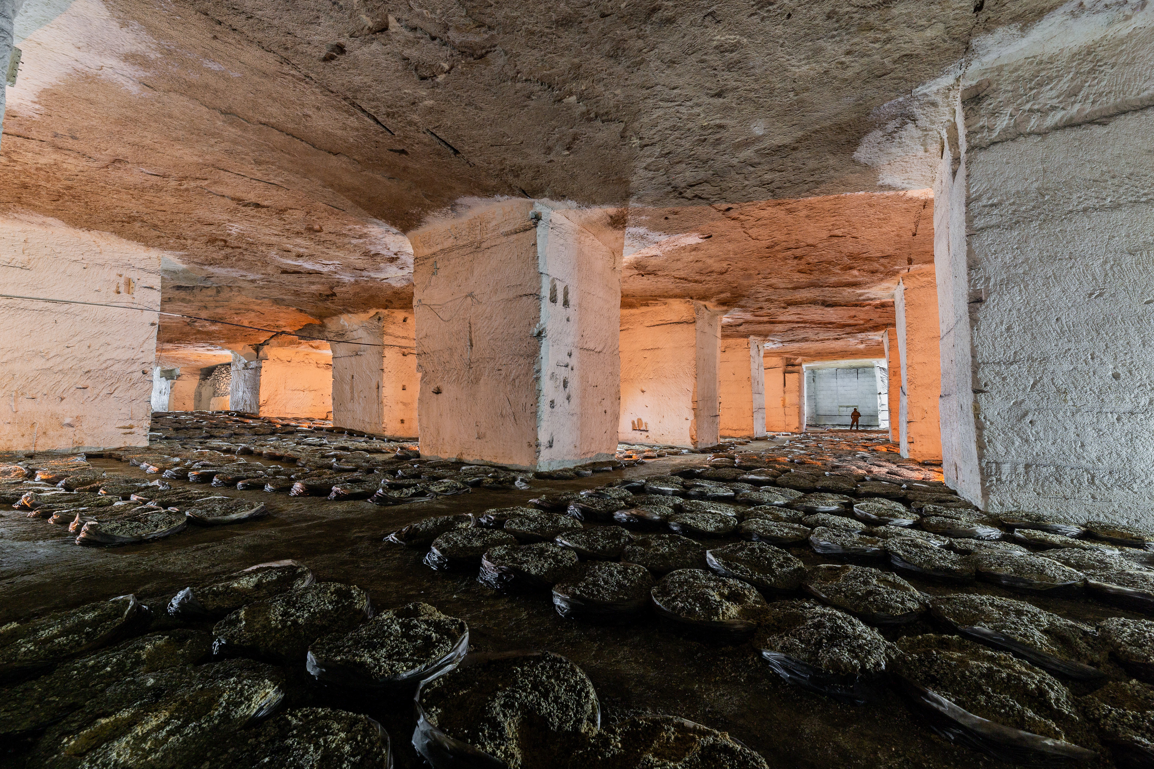 Ancienne champignonnière dans une carrière de calcaire
