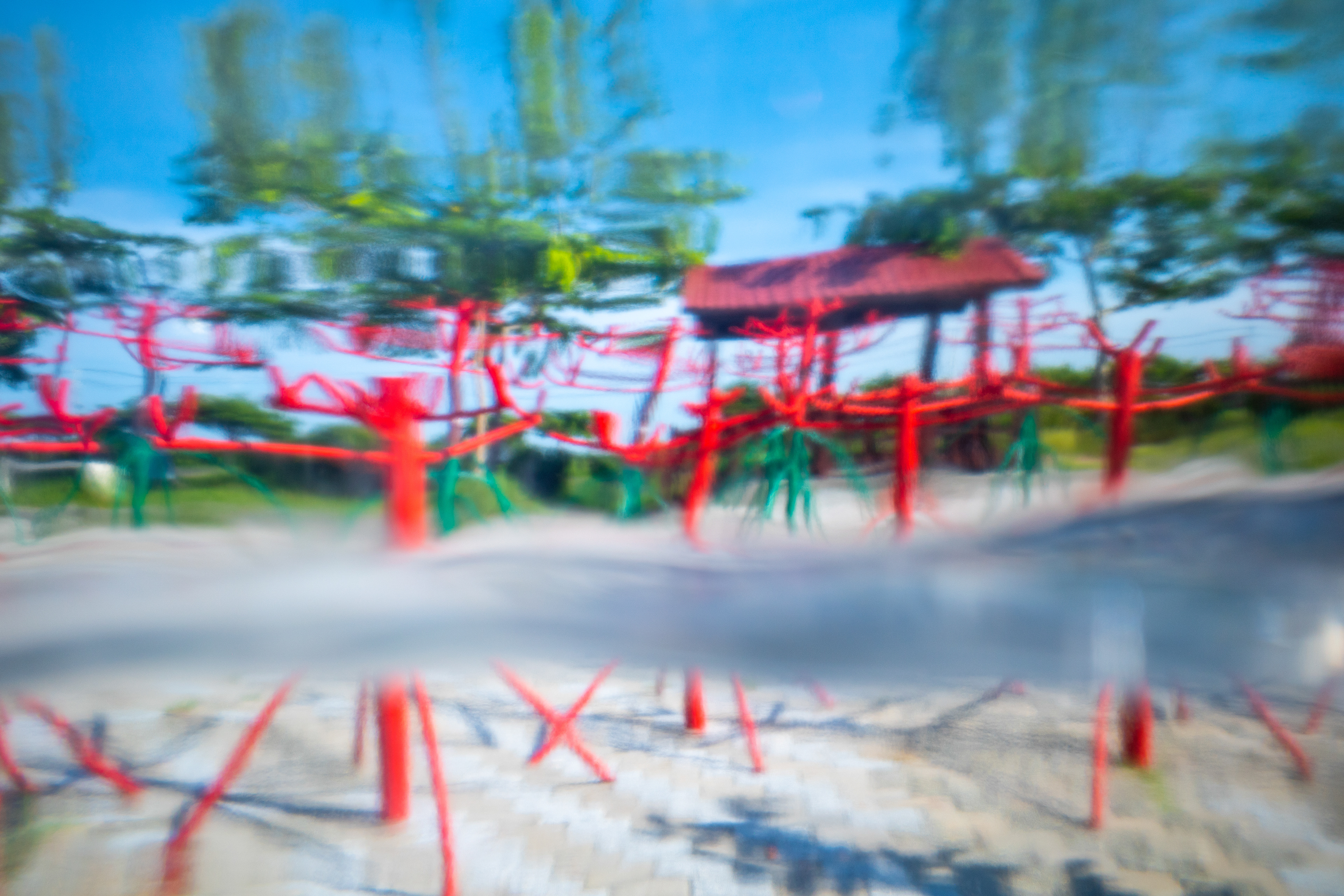開江紀 - A New Era Of Taikag - 台南 - Tainan - Mangroves in Red and Green Hues