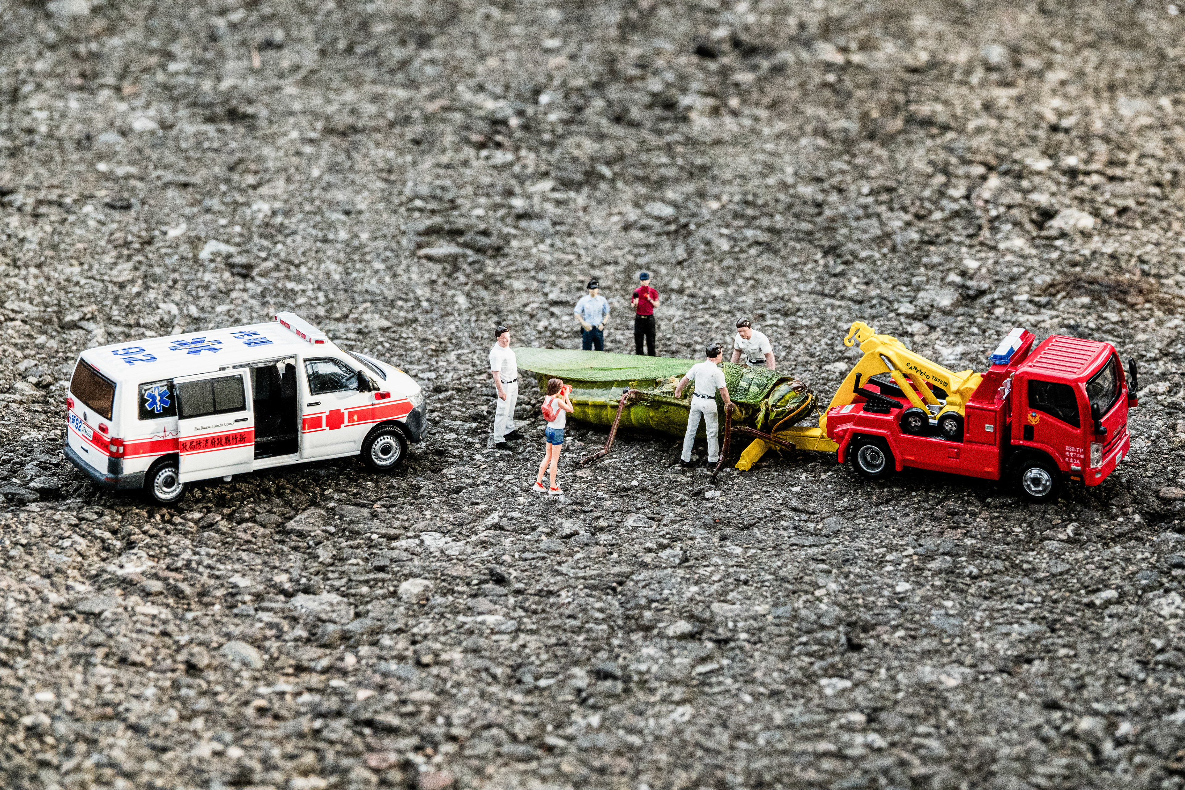 台灣微急 - Taiwan Little Emergency - Taiwan Emergency - 蝗蟲 - locust 
