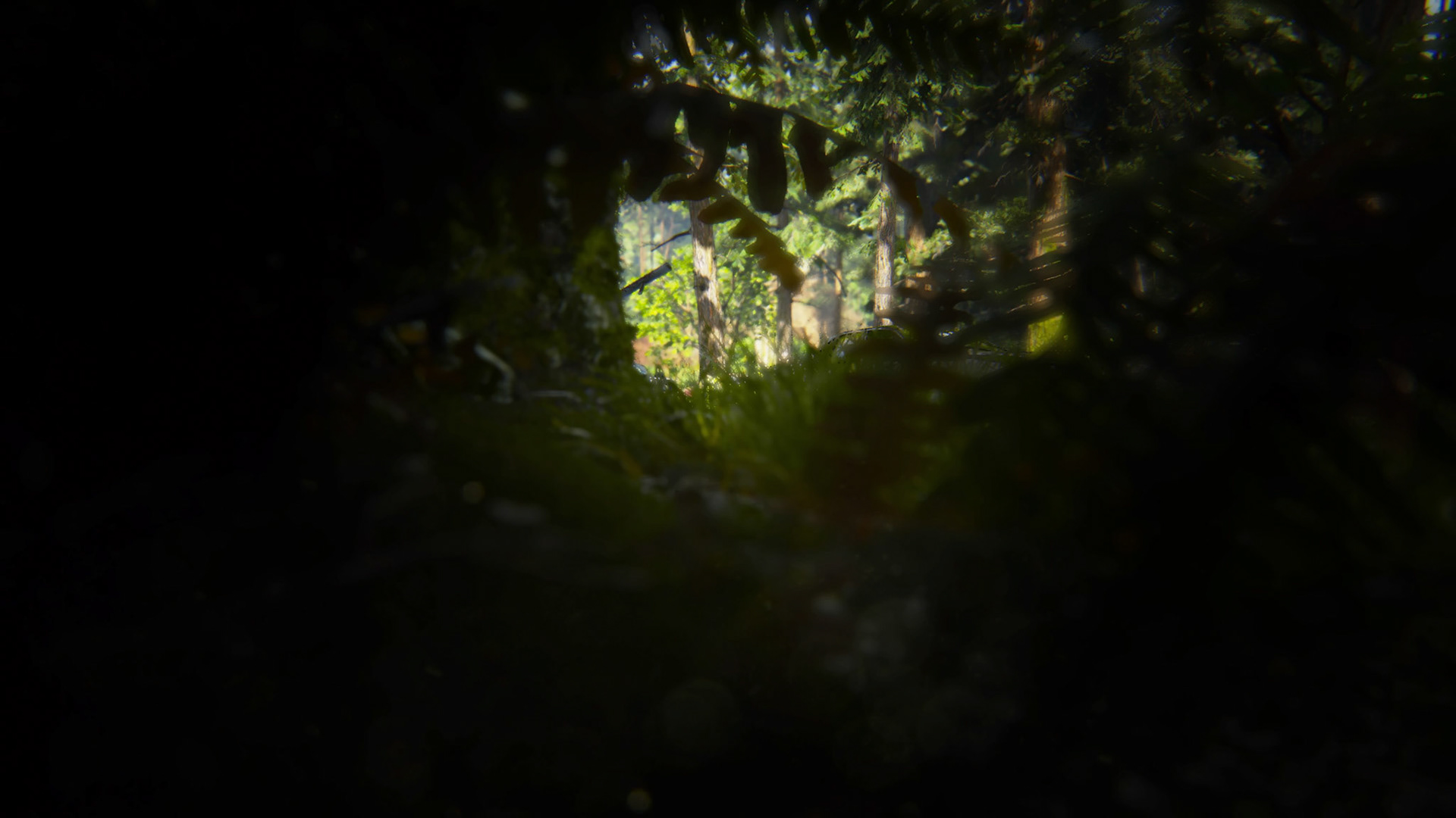 The Last of Us® Part II_20200705222343