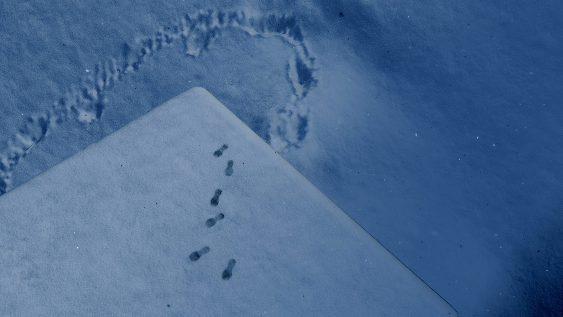 DEATH STRANDING®_20200623024501