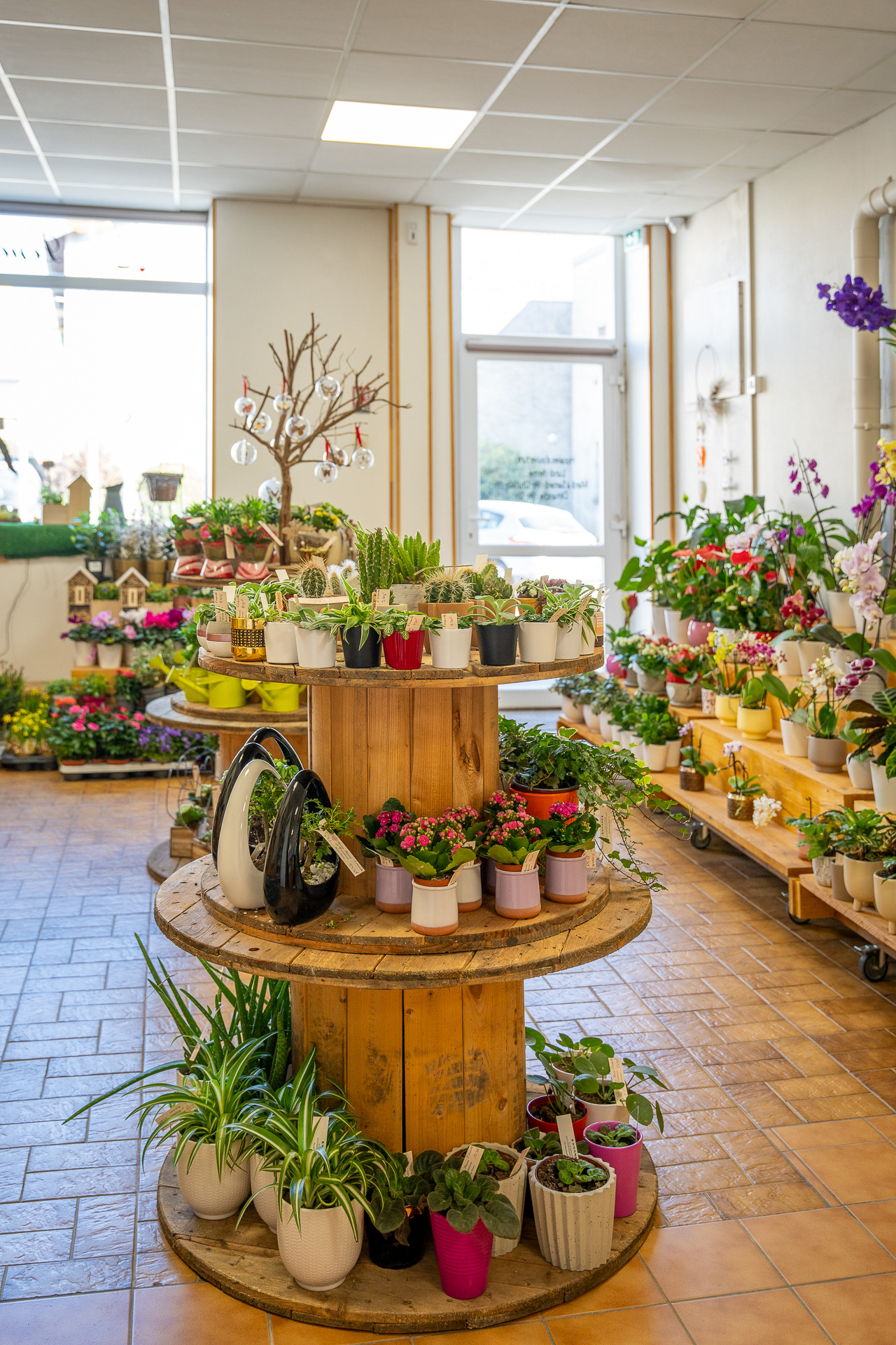 Léna fleurs et créations