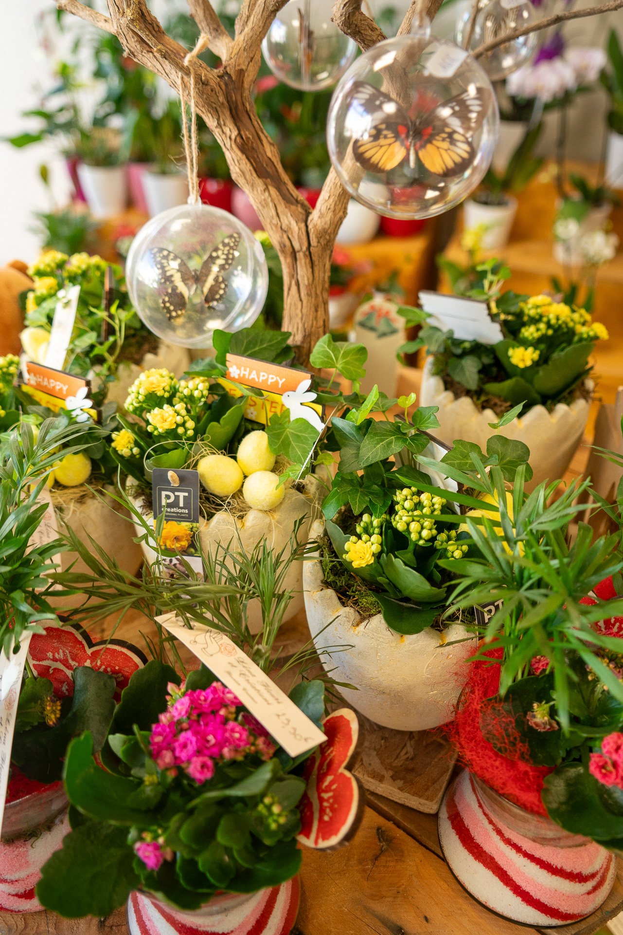 Léna fleurs et créations