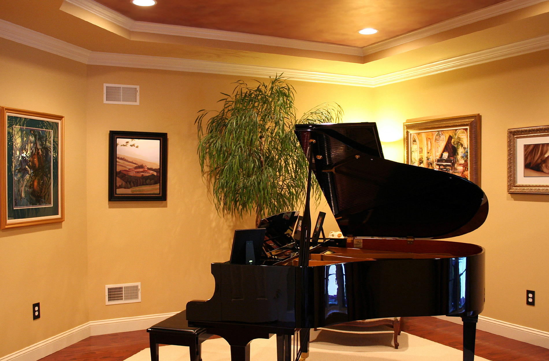 Parlor | Marmorino and Paint