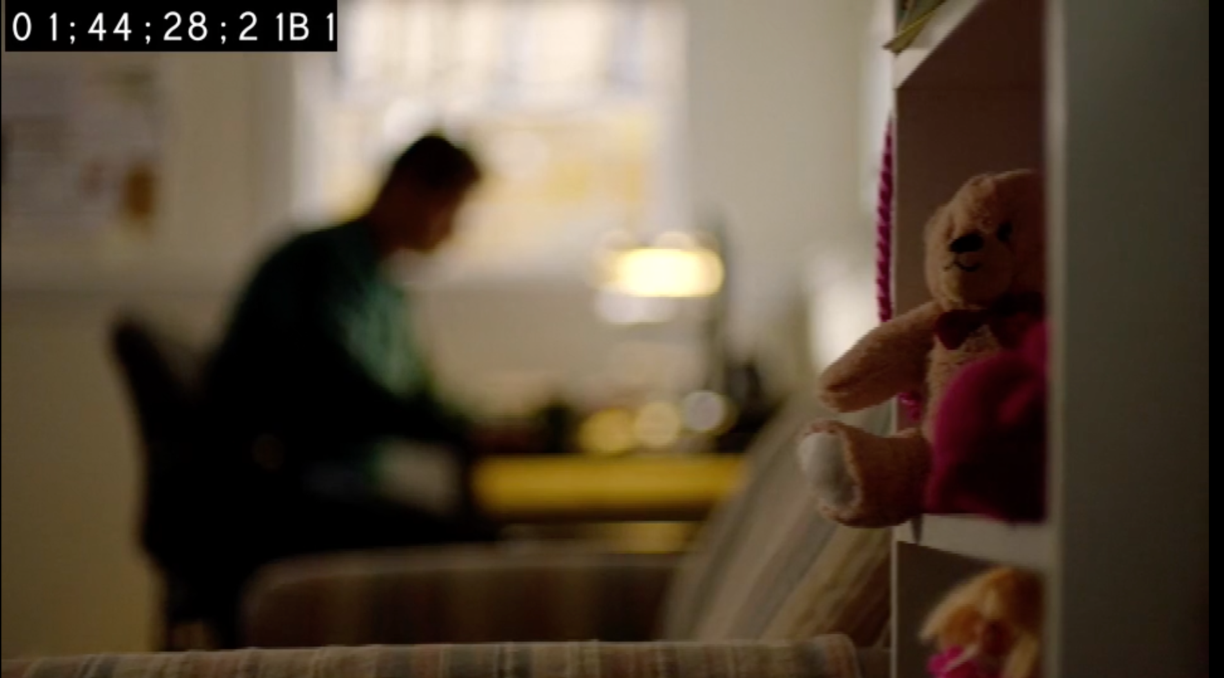 Wild Crime S1 | Dir. Lisa Wolfinger | HULU