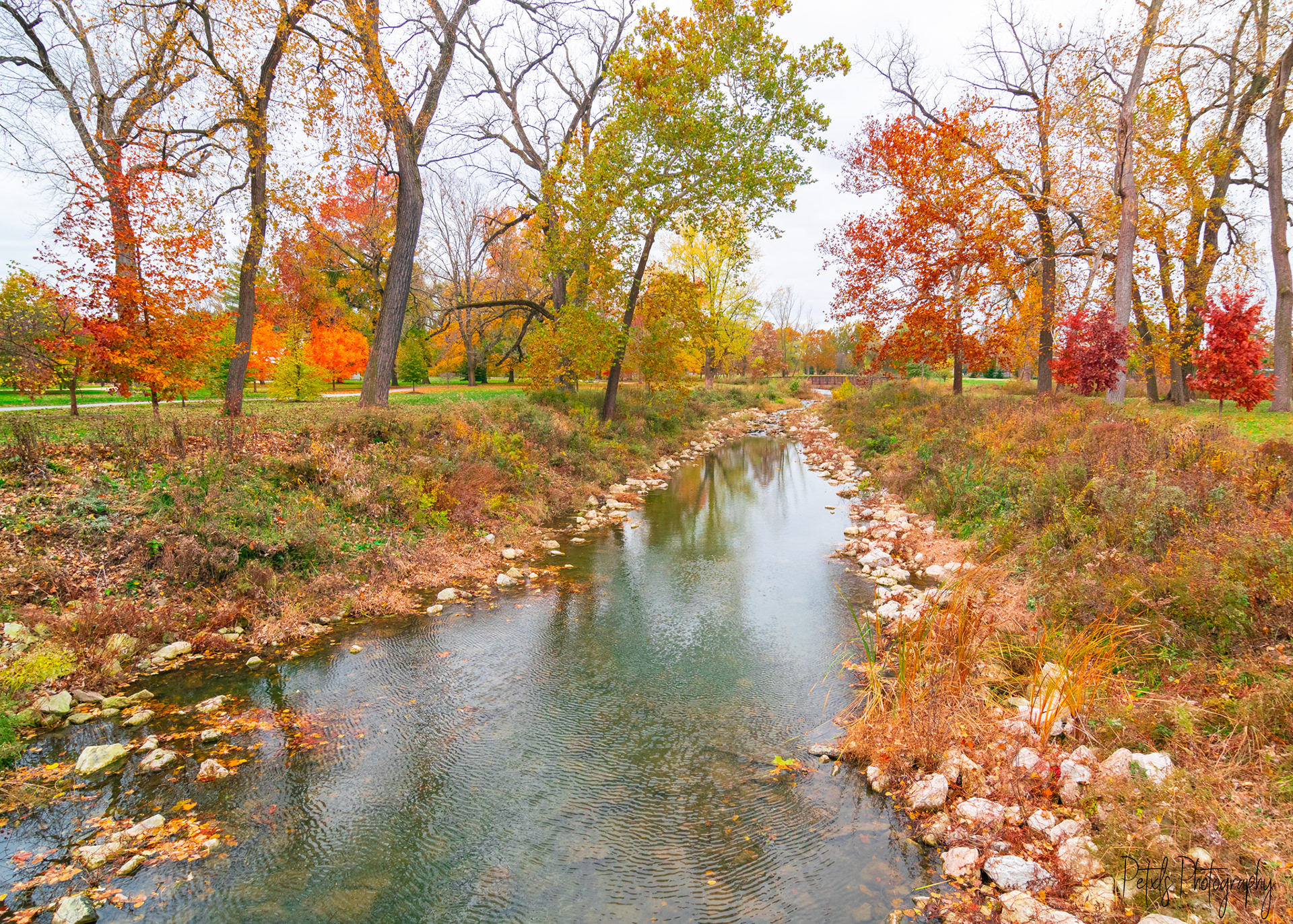 Colorful Stream