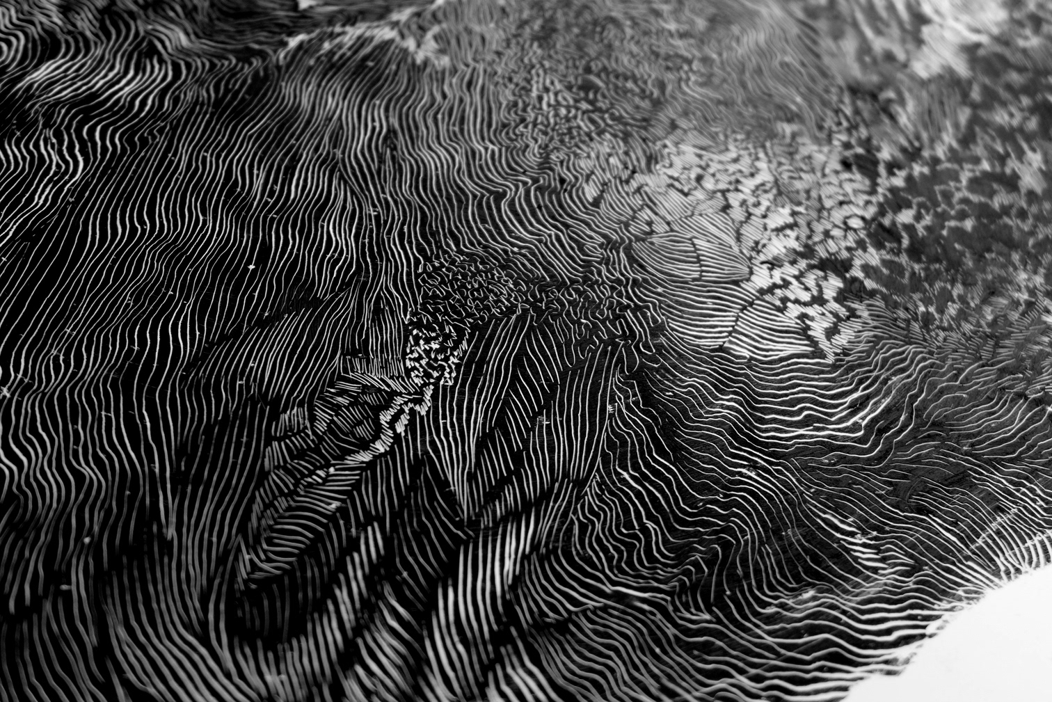 Soft Stone (fragment) , 50  x 70 cm, oil pastel on paper, 2014