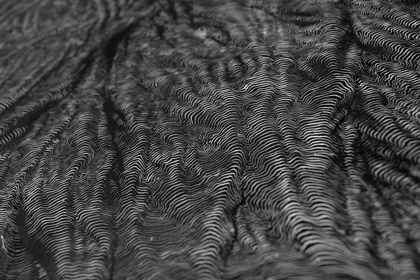  Struktura III (Fragment), 100 x 70 cm, oil pastel on paper, 2014