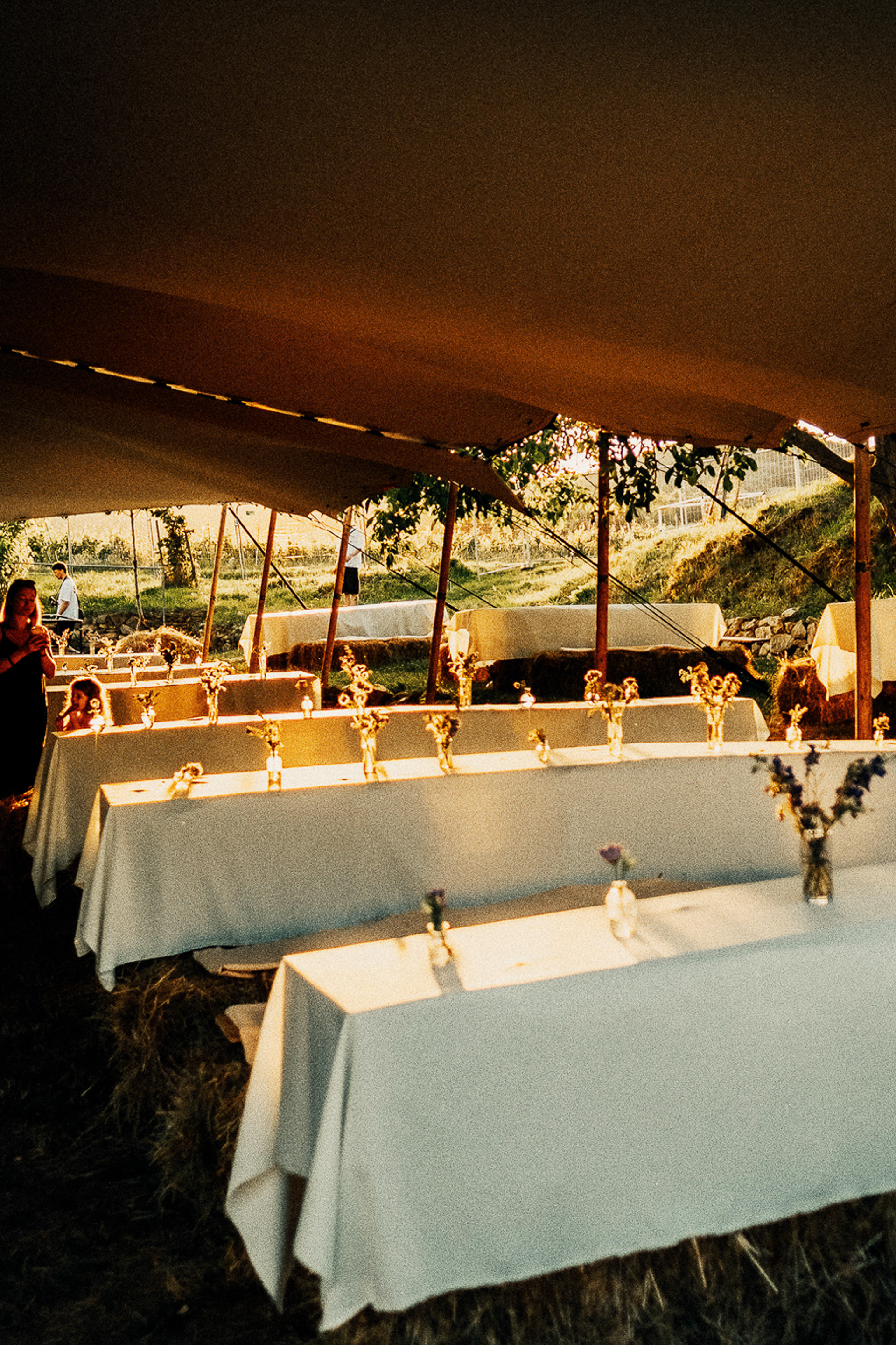 Warm analog documentary snapshot of outdoor tables under a tent at Zeny Vino Funk festival / Hrejivý analógový reportážny záber na prestreté stoly pod stanom v prírode na festivale Ženy Víno Funk.