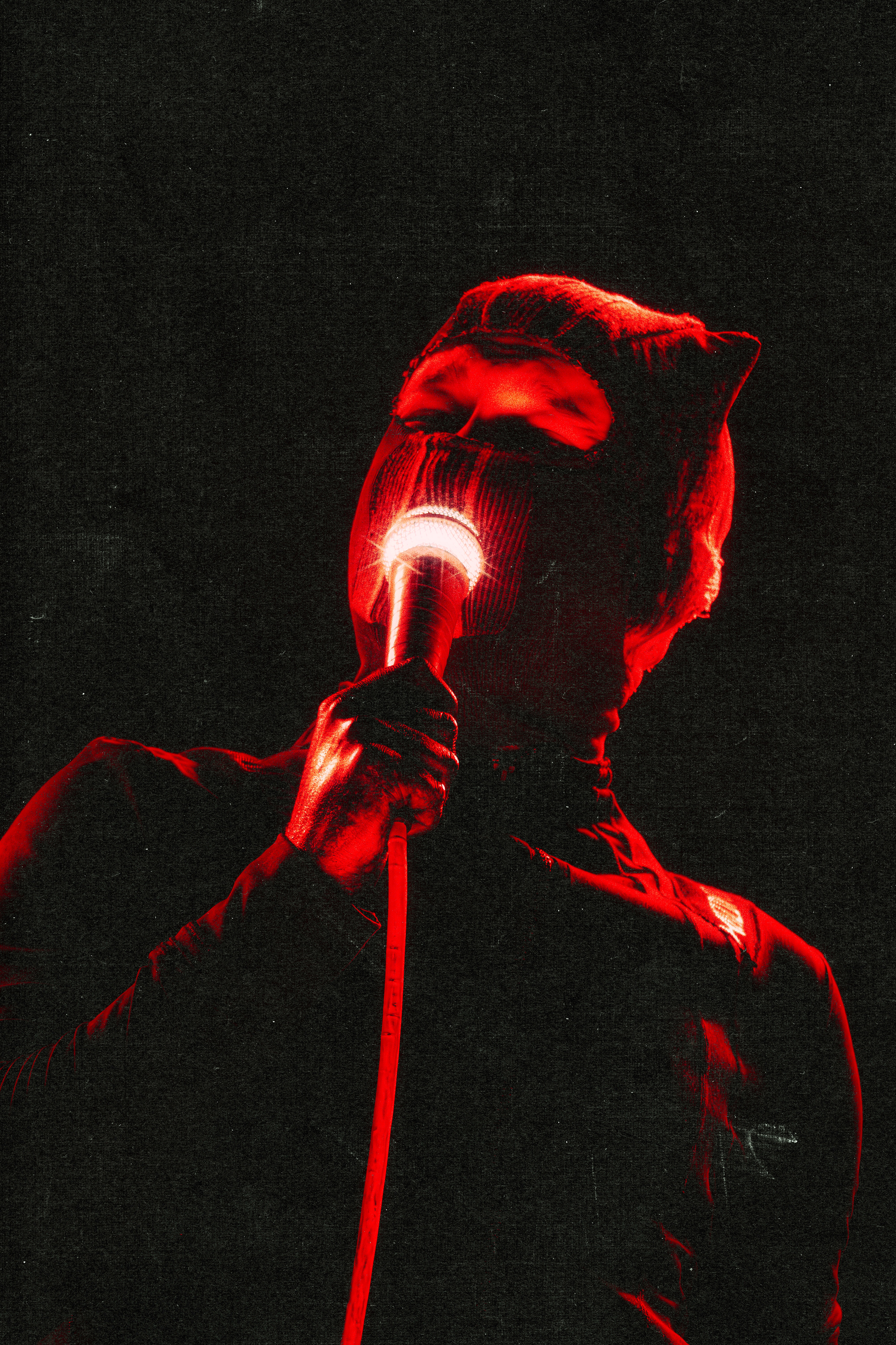 Twenty One Pilots - Budweiser Stage