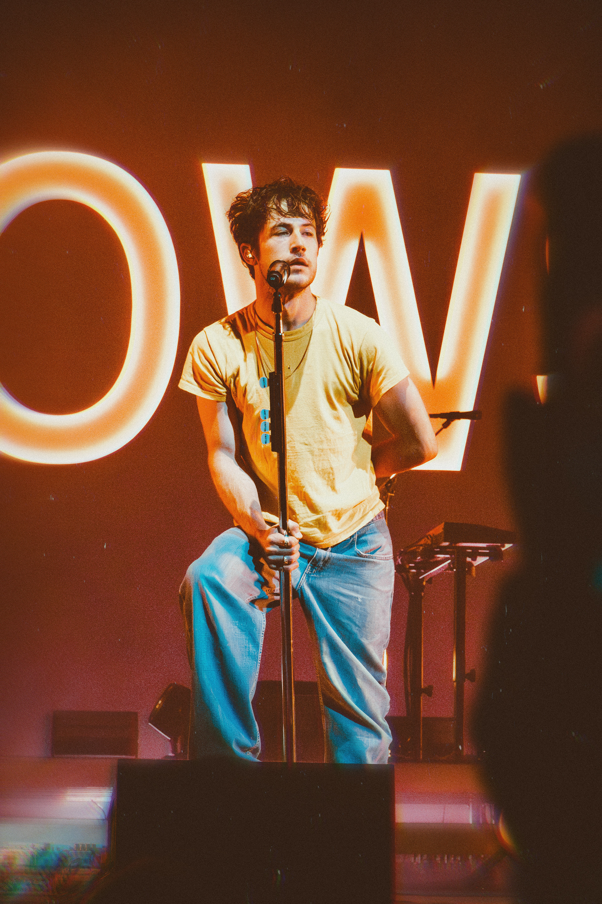 Wallows - Place Bell