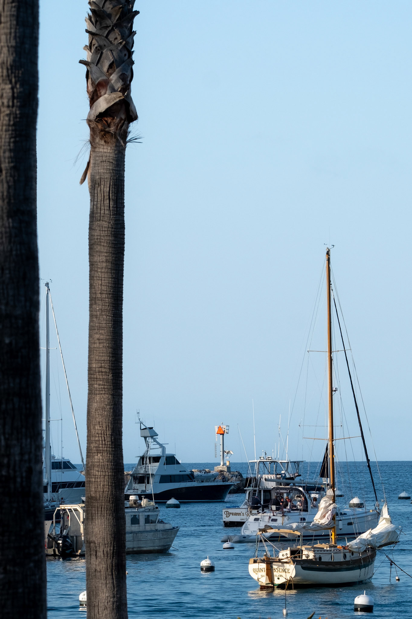 April 2023, Catalina Island CA - Digital