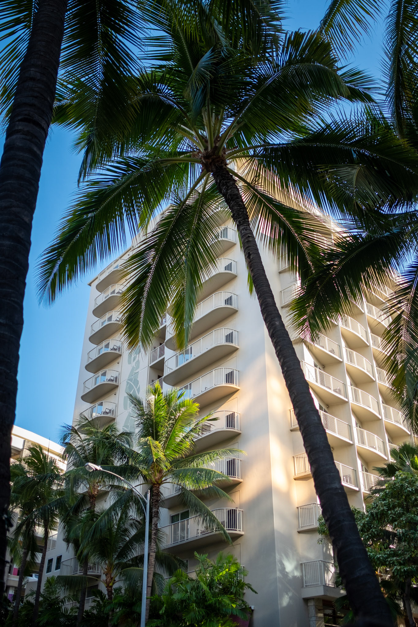 October 2021, Honolulu HI - Digital