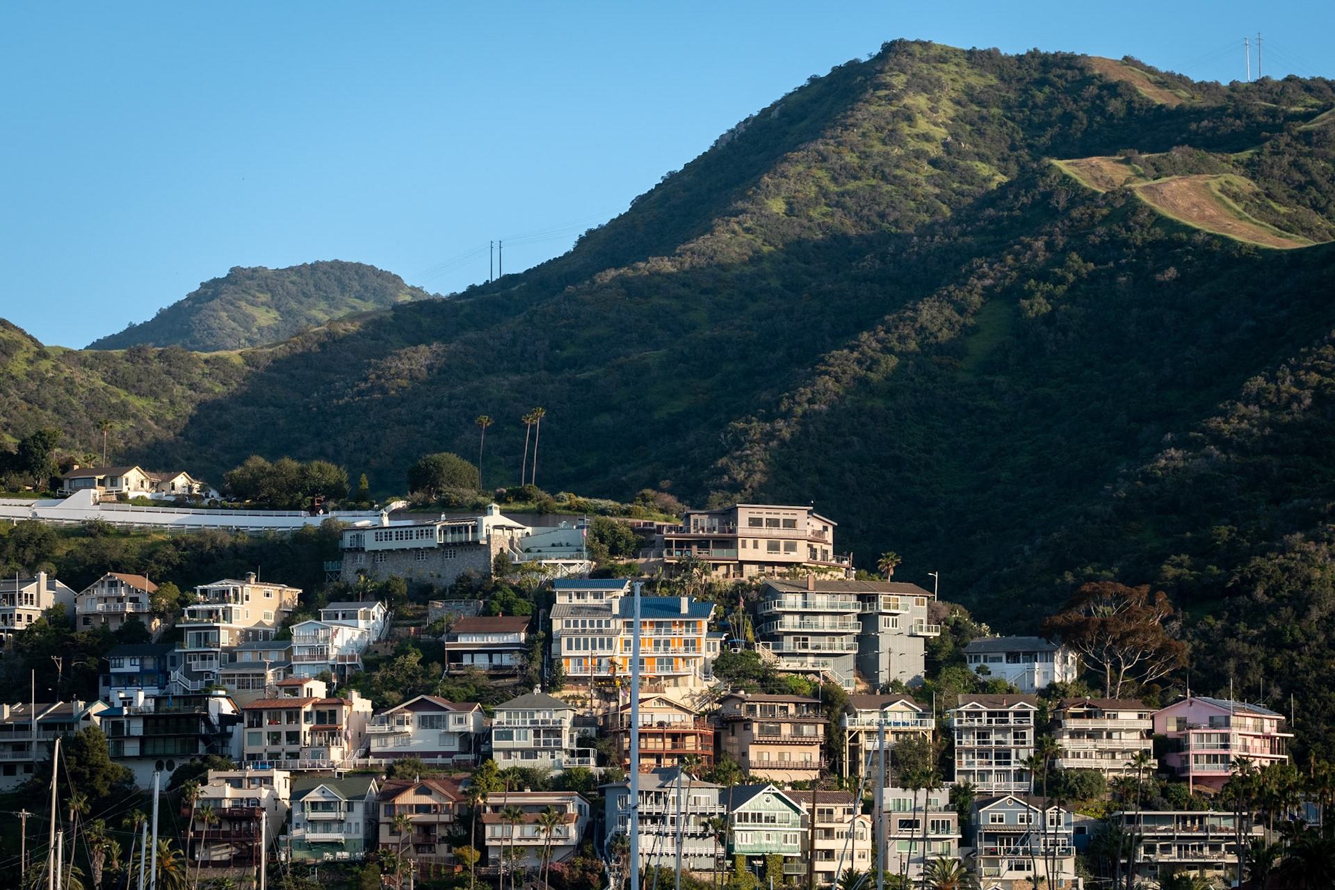 April 2023, Catalina Island CA - Digital