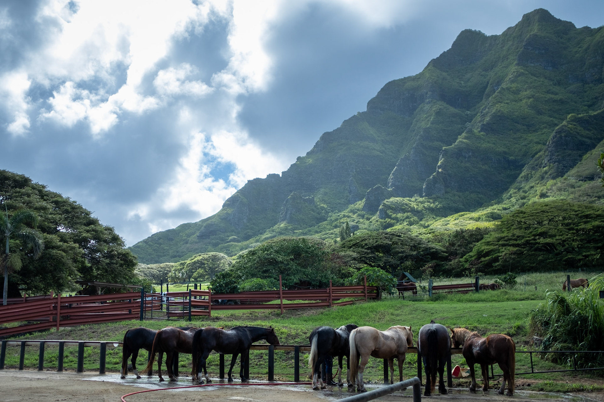 October 2021, Kaneohe HI - Digital