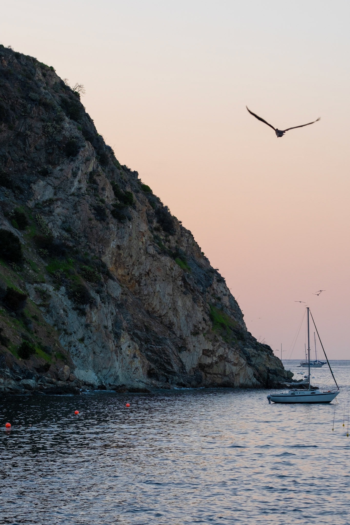 April 2023, Catalina Island CA - Digital