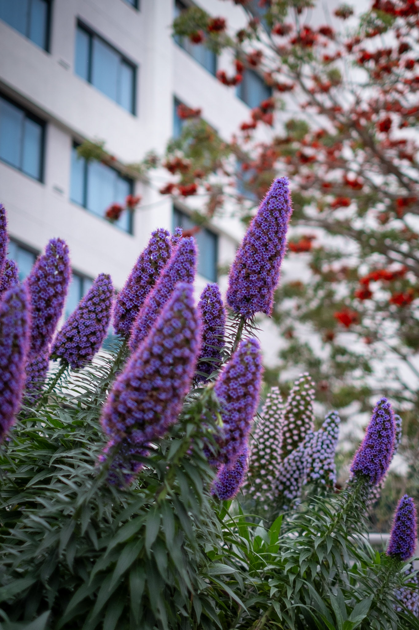 April 2023, Los Angeles CA - Digital