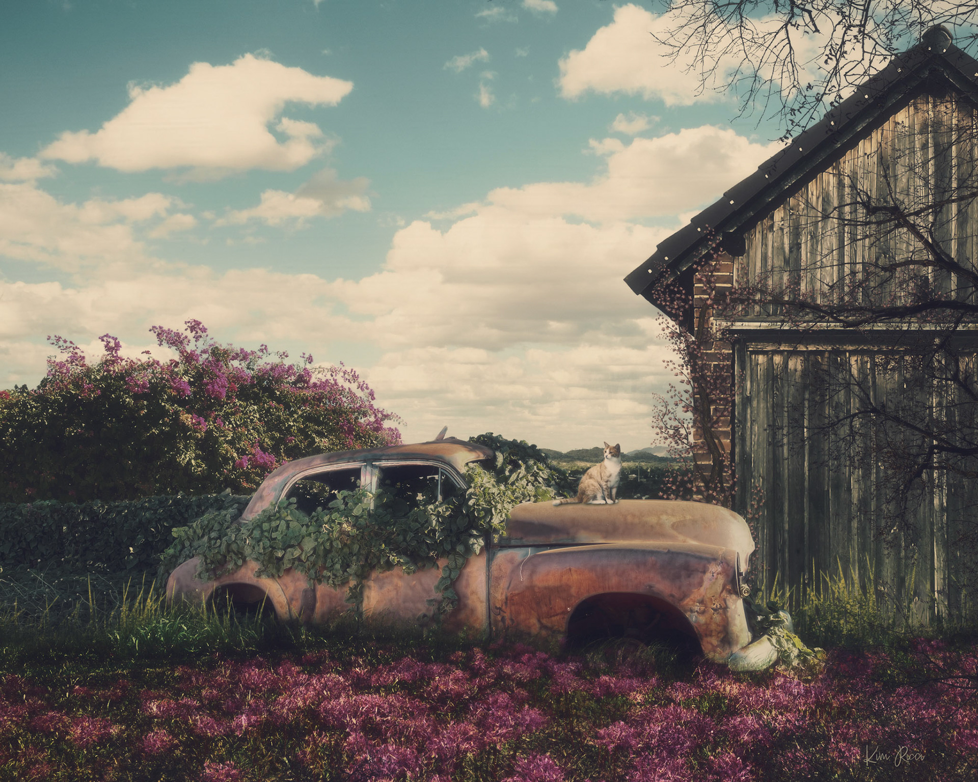 Bessie's Resting Place