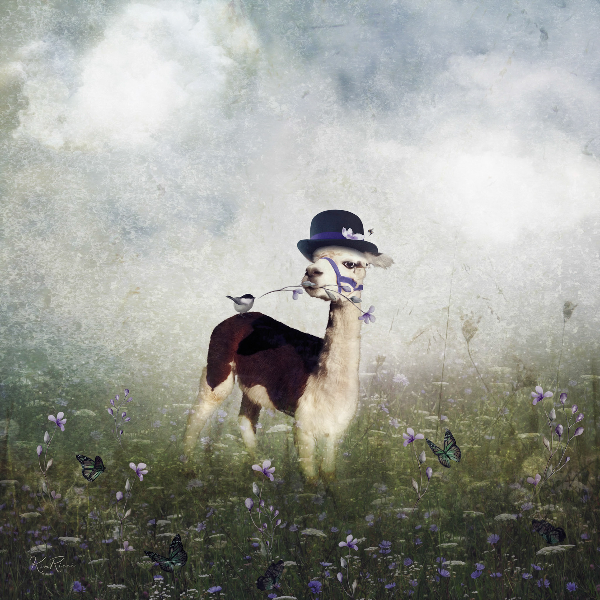 Alpaca with Attitude