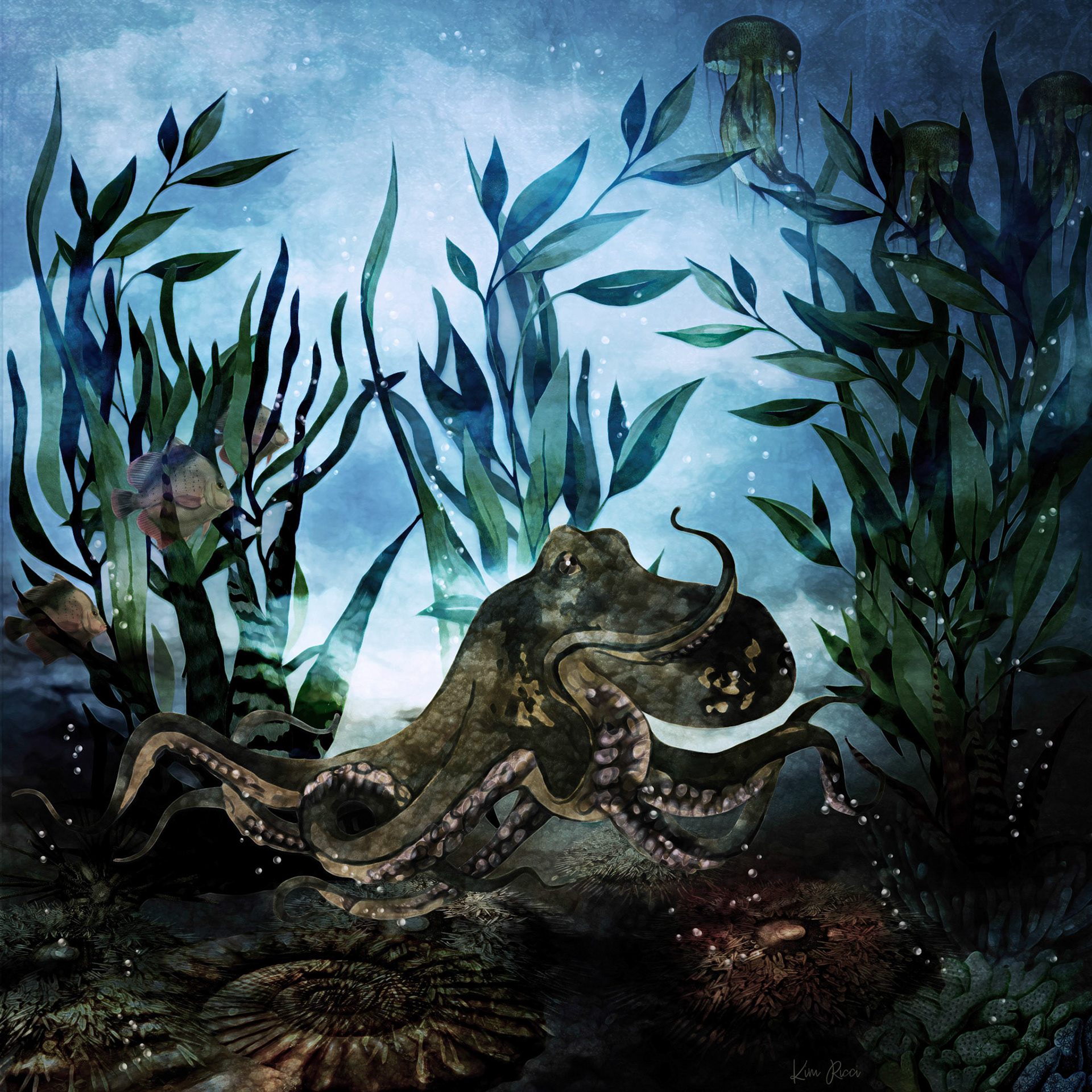 Octopus's Garden