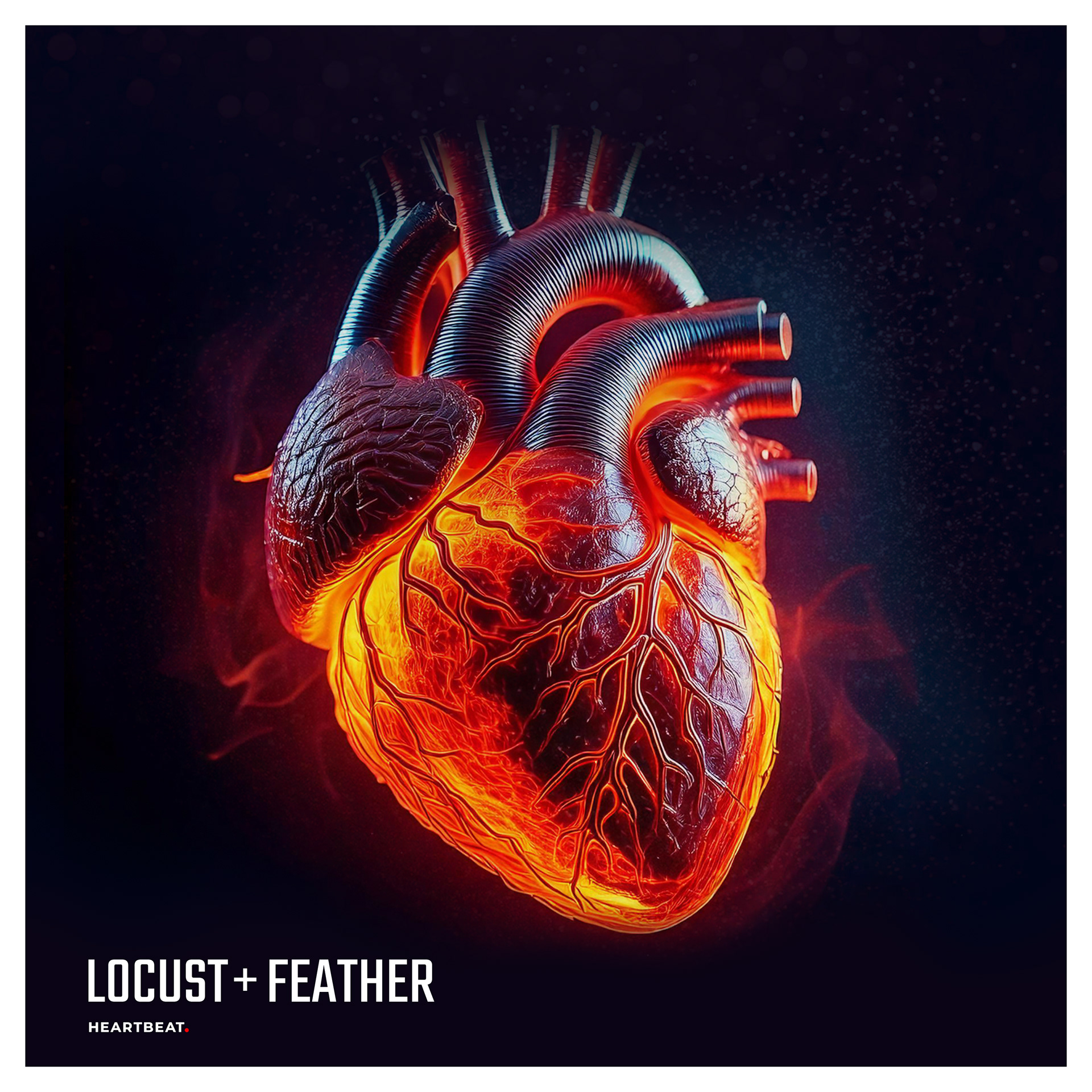 Heart inside a black box but on fire, with veins showing. The name of it is HEARTBEAT By a Band Named Locust + Feather.