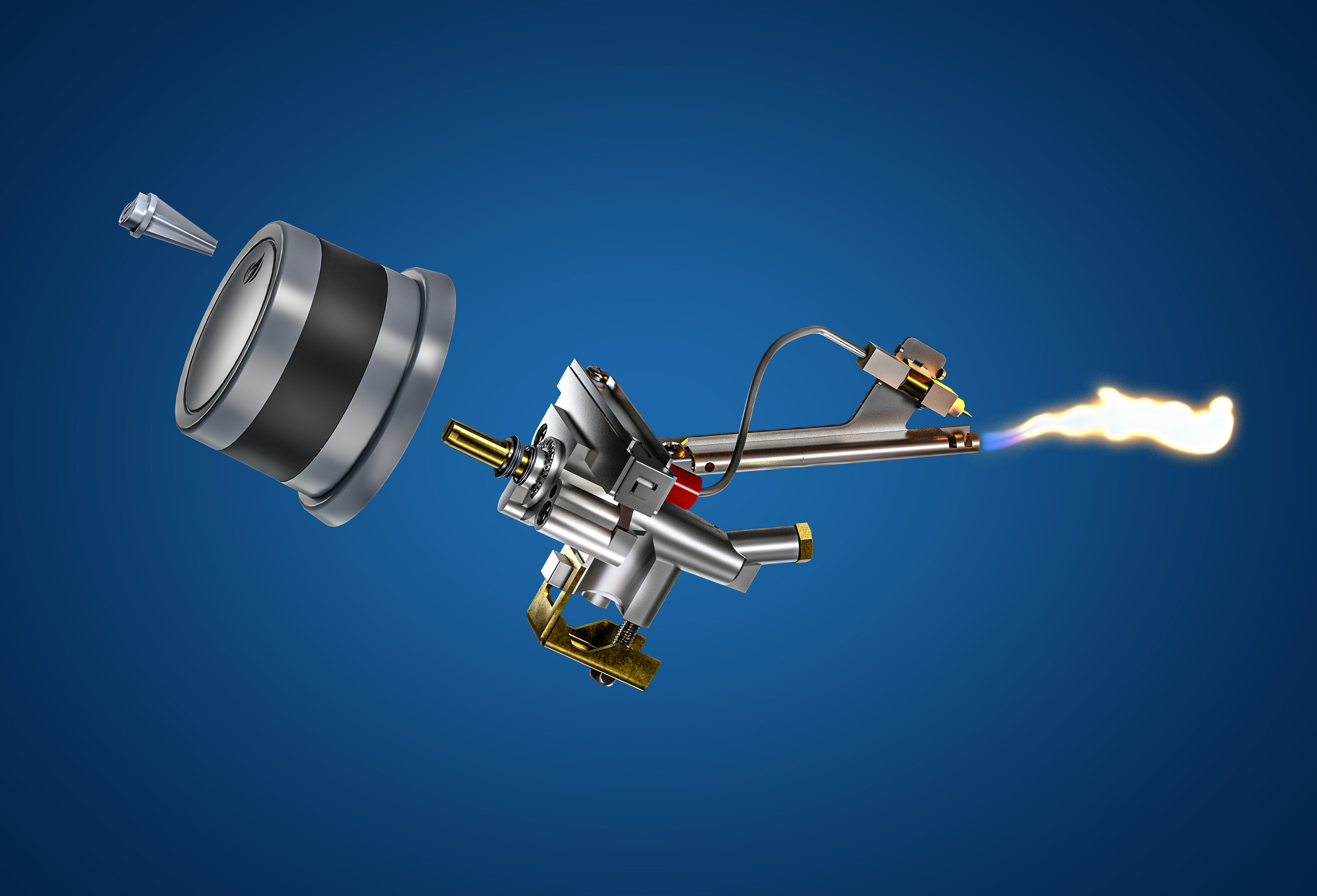 Napoleon Grills presentation image