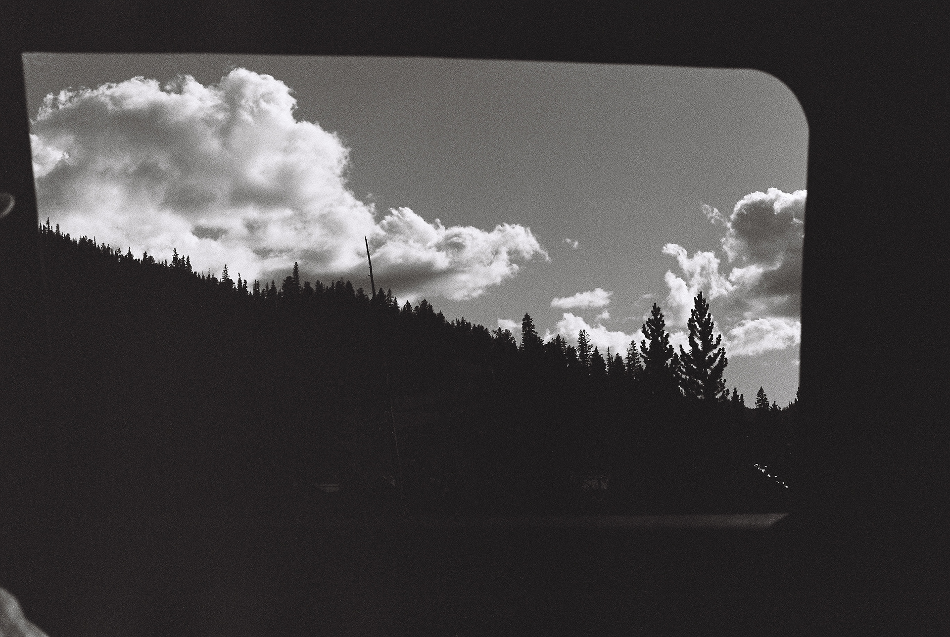 montana film
