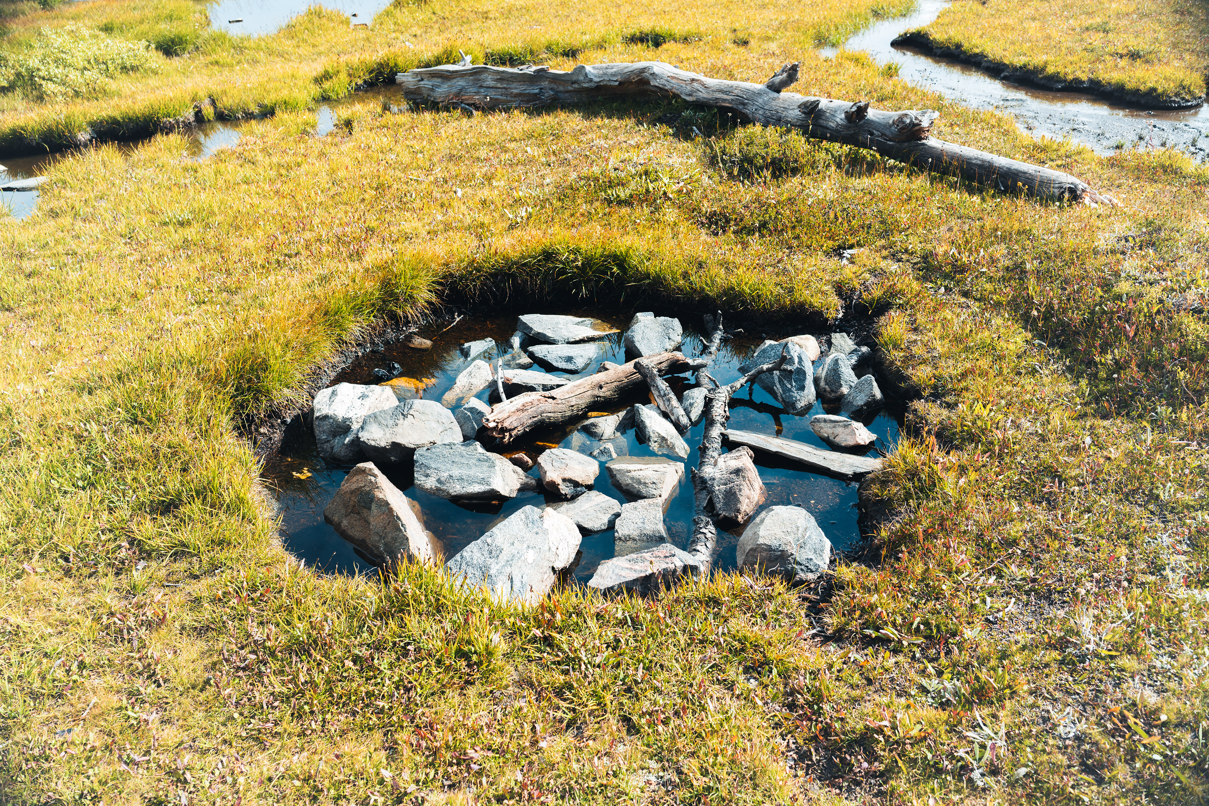 beehive basin