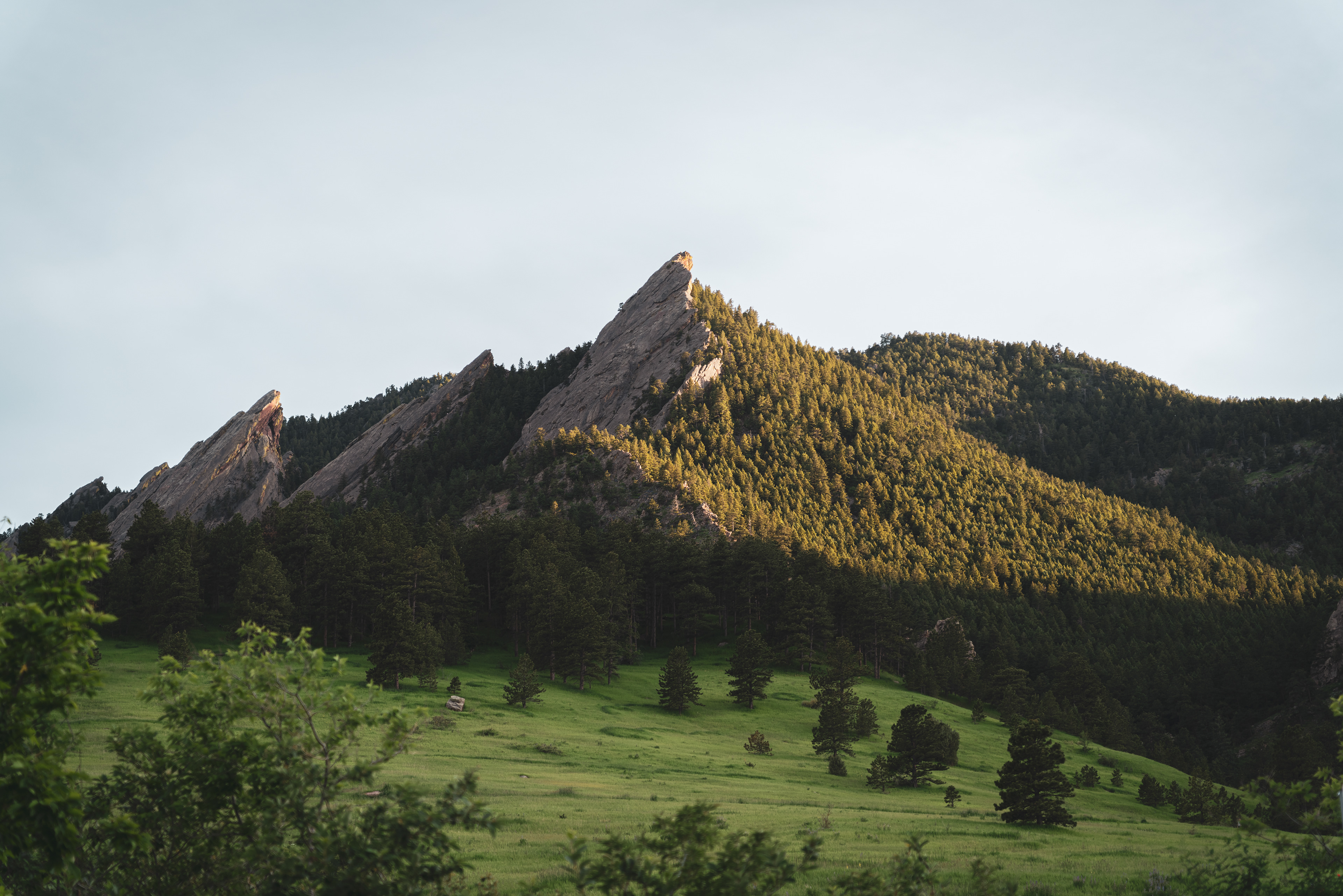 flat iron