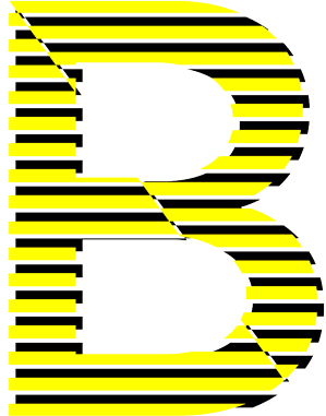 Gerardo F Bucio Designer