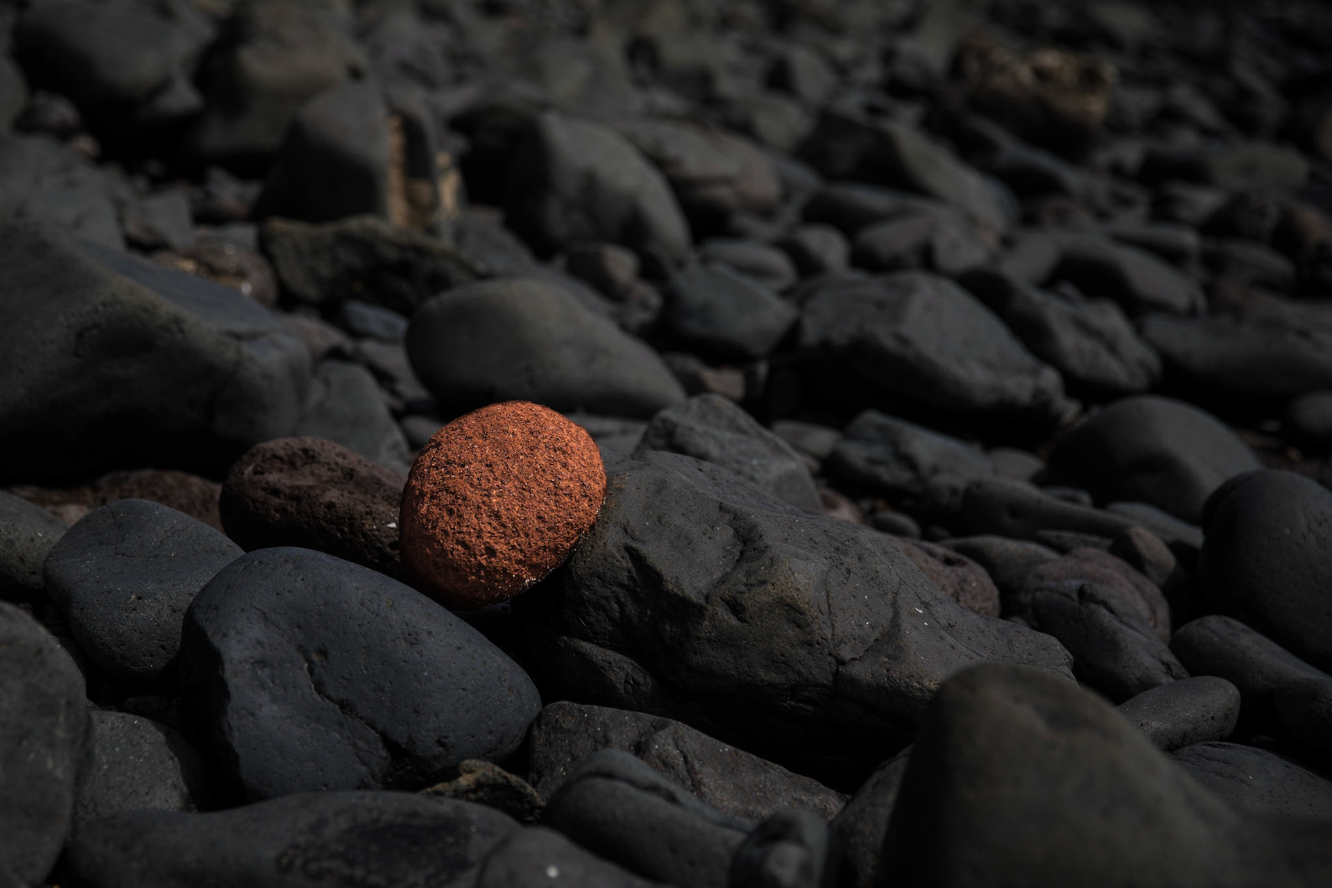 Red stone on the black cliffs near Punta Jandia.