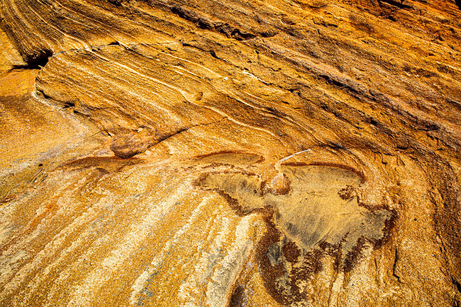 Curved layers in a sandstone wall at a Beach in Fuerteventura.