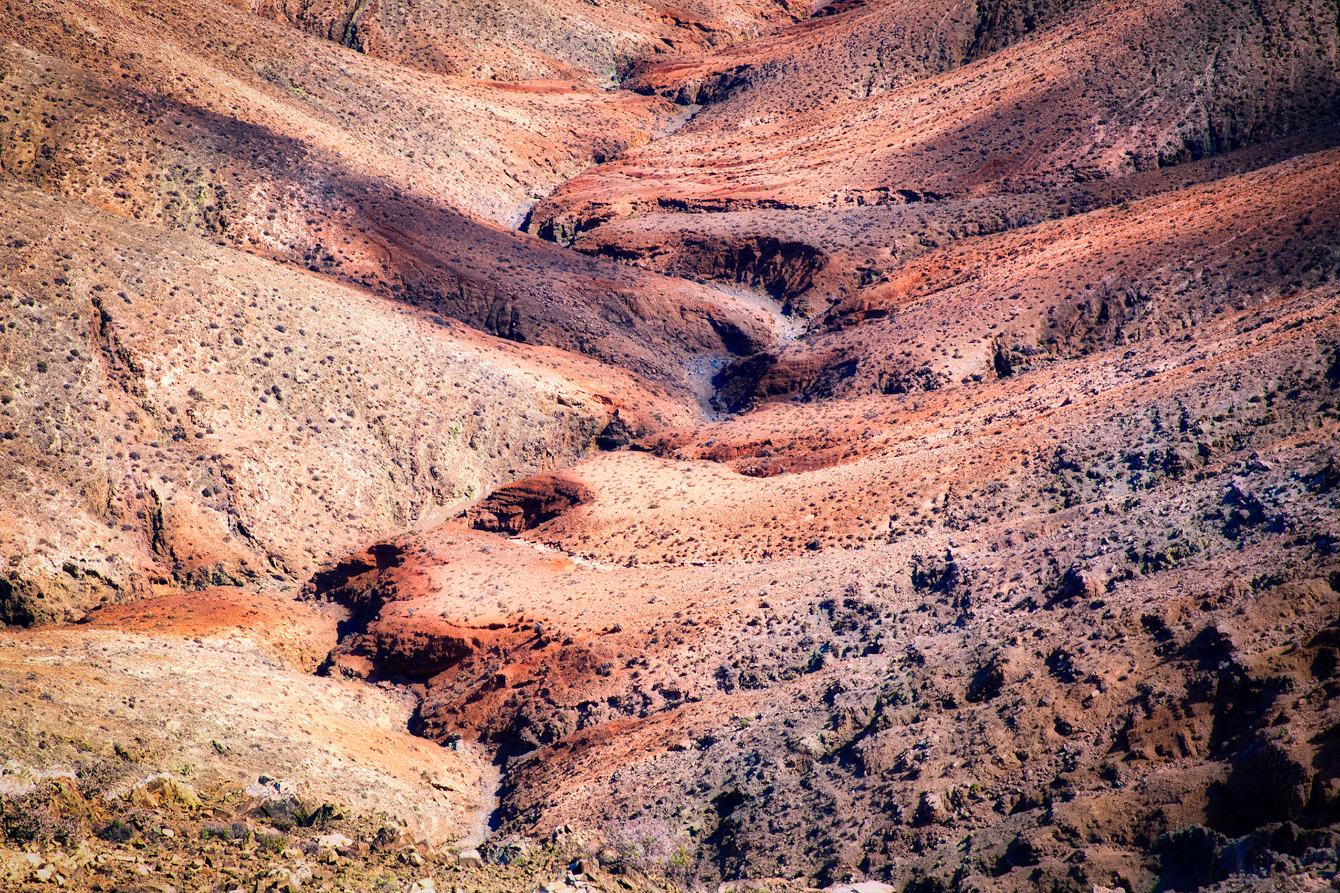 The dry barrancos of Fuerteventura always gives you very interesting structures.
