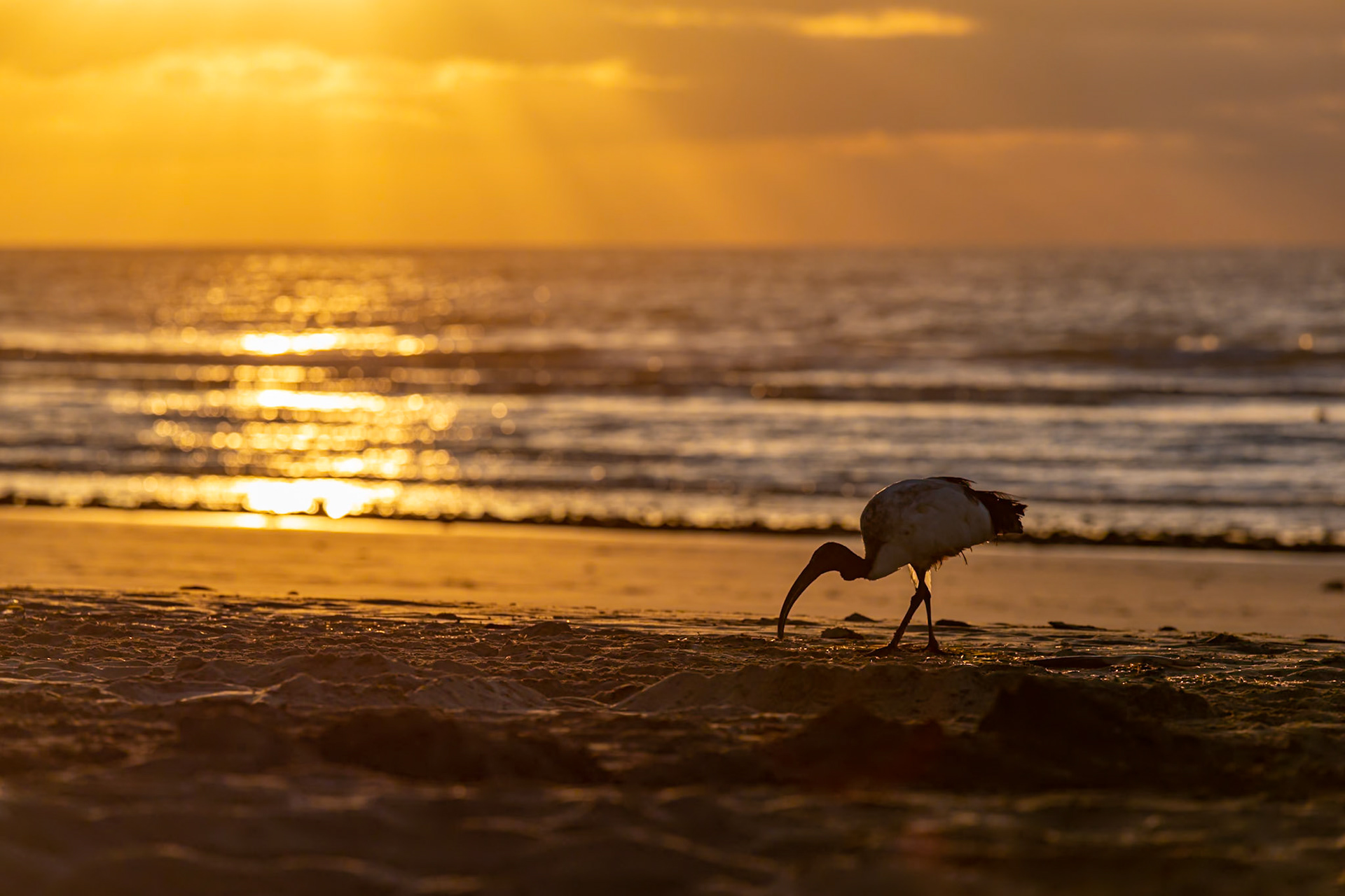 Fuerte Breakfast(Selber fotografieren im Fotokurs auf Fuerteventura: https://youtu.be/KTOLycvdlhQ)