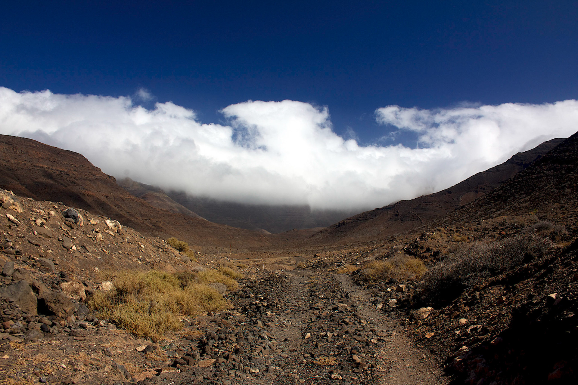 The road goes up to the mountains which are in the clouds