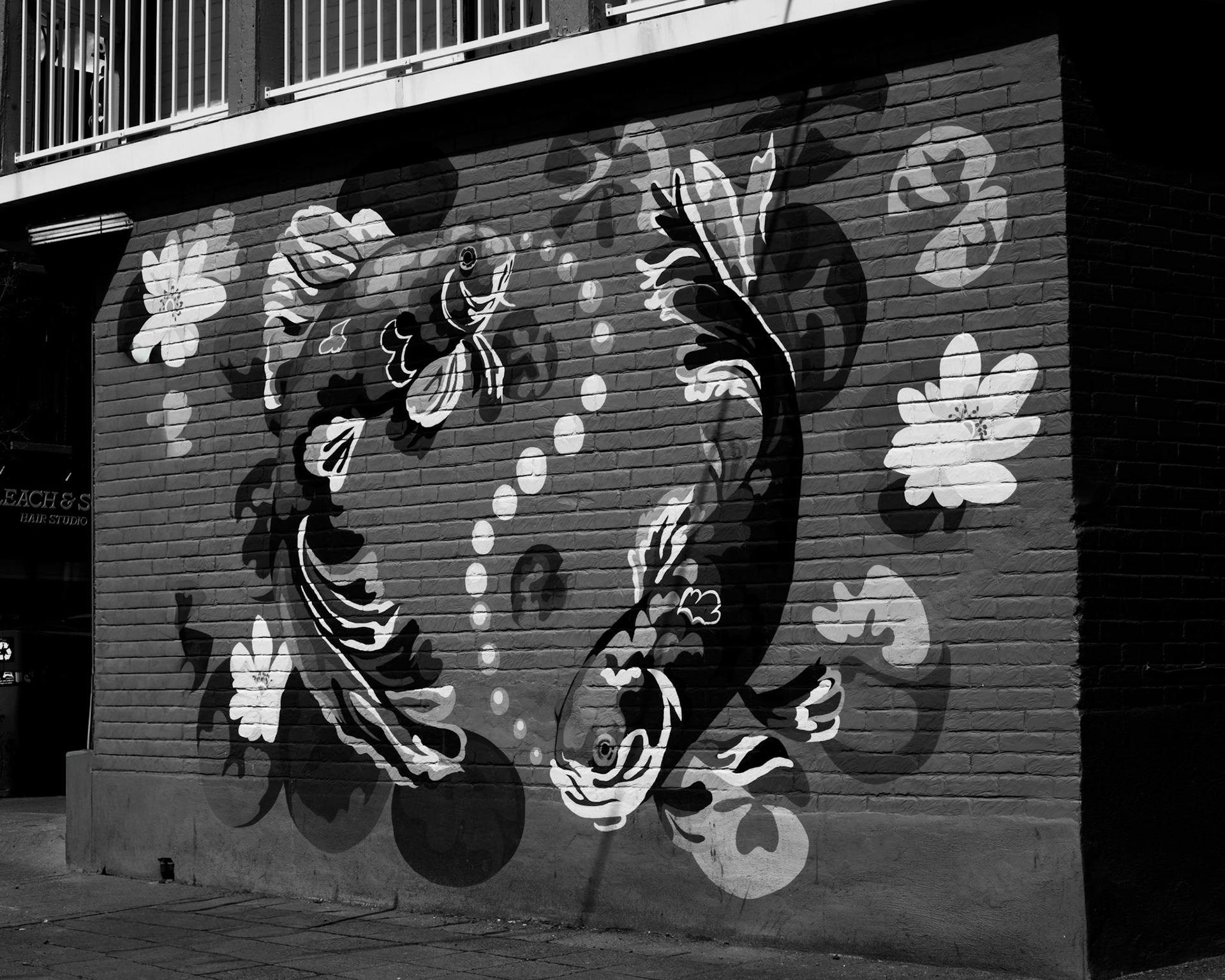 D-Koi: Monochrome fine art street photography capturing a striking brick wall mural of swirling koi fish and floating floral patterns