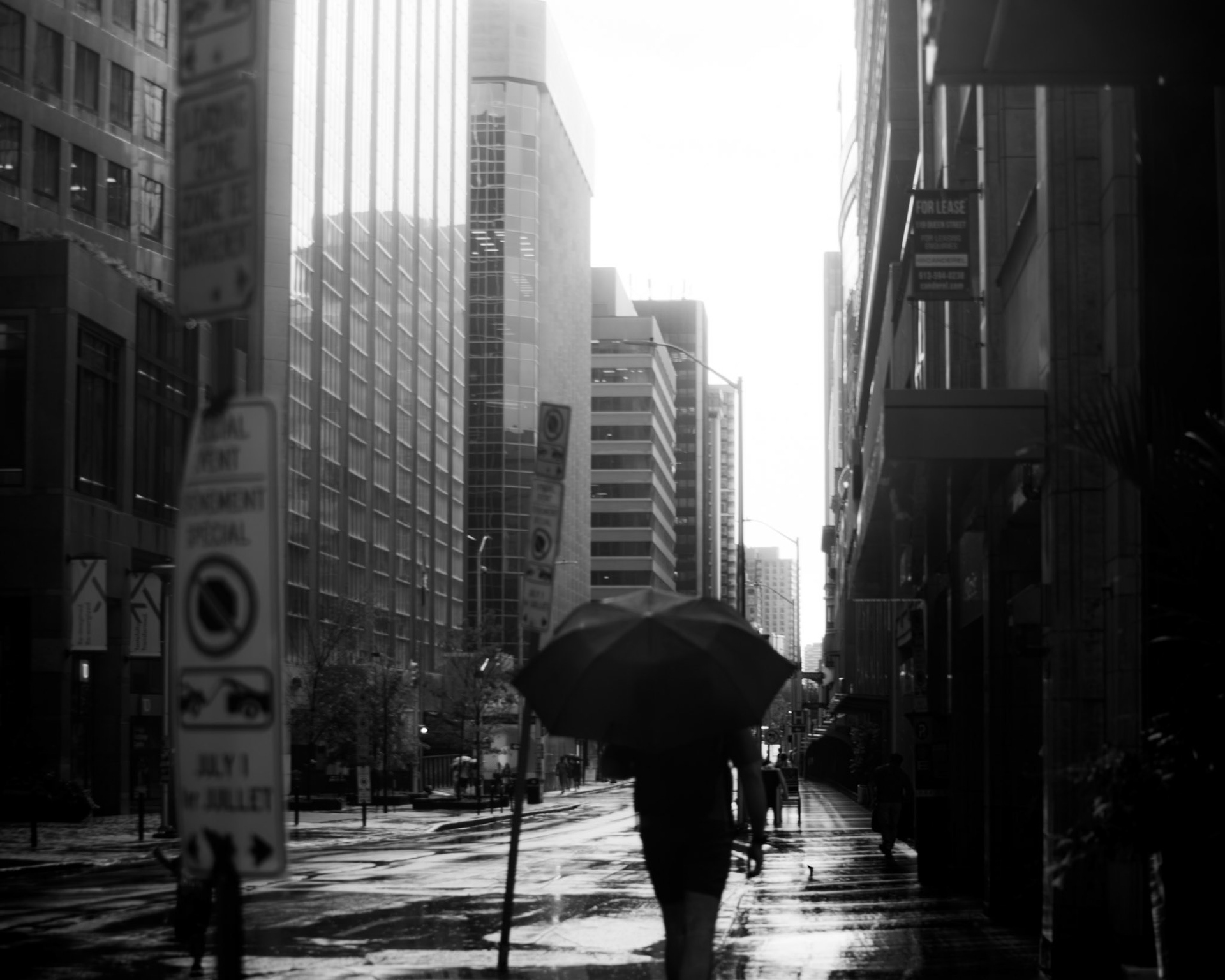 Urban Pilgrim: Black-and-white street photography of a lone figure walking down a wet urban street under an umbrella, framed by towering high-contrast skyscrapers in downtown Ottawa.