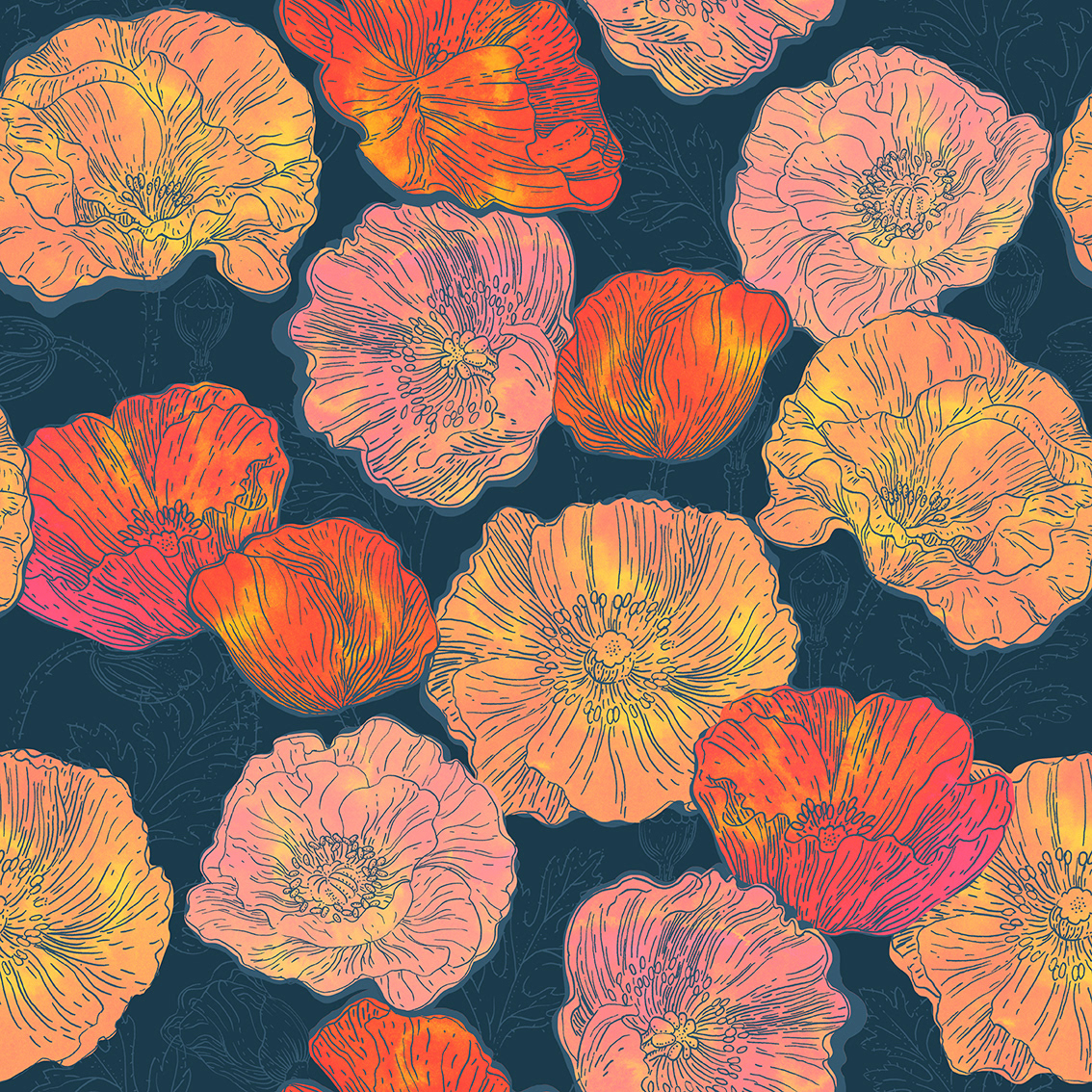 Poppy field
