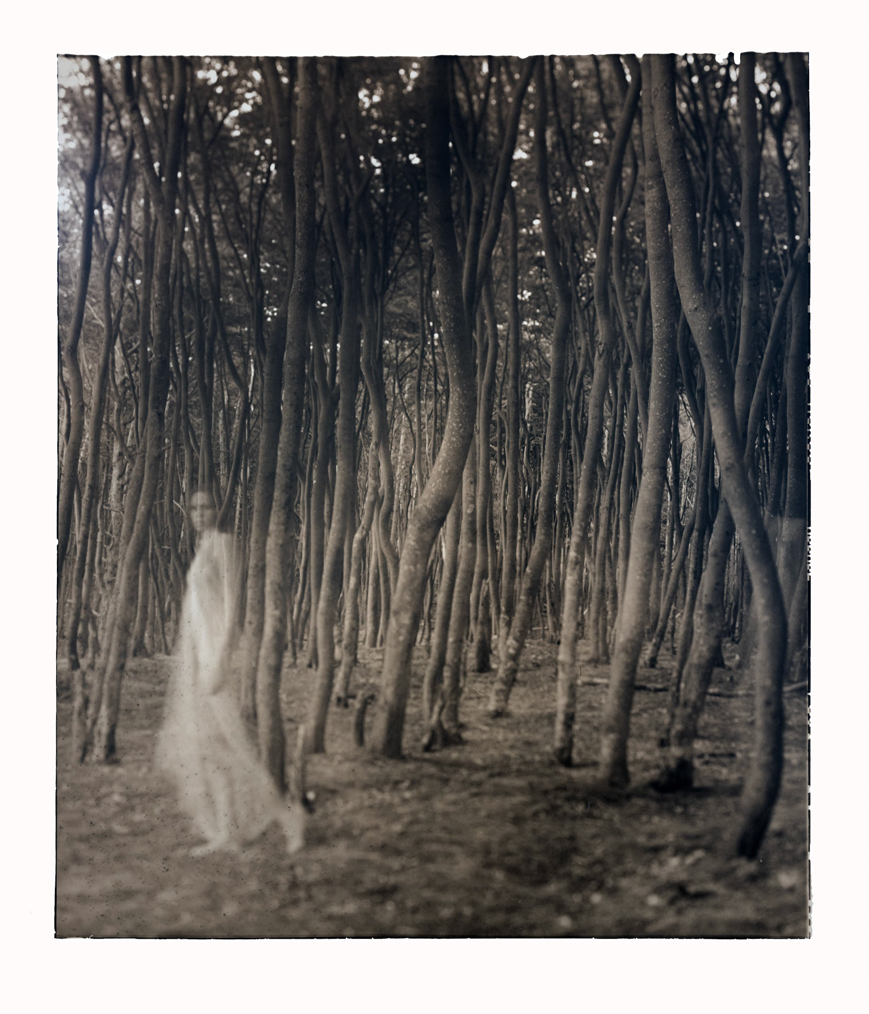 A Ghost Story
