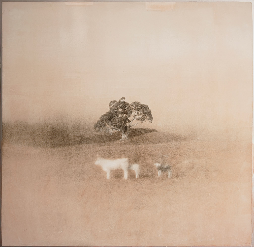 Just a little walk around the neighbourhood