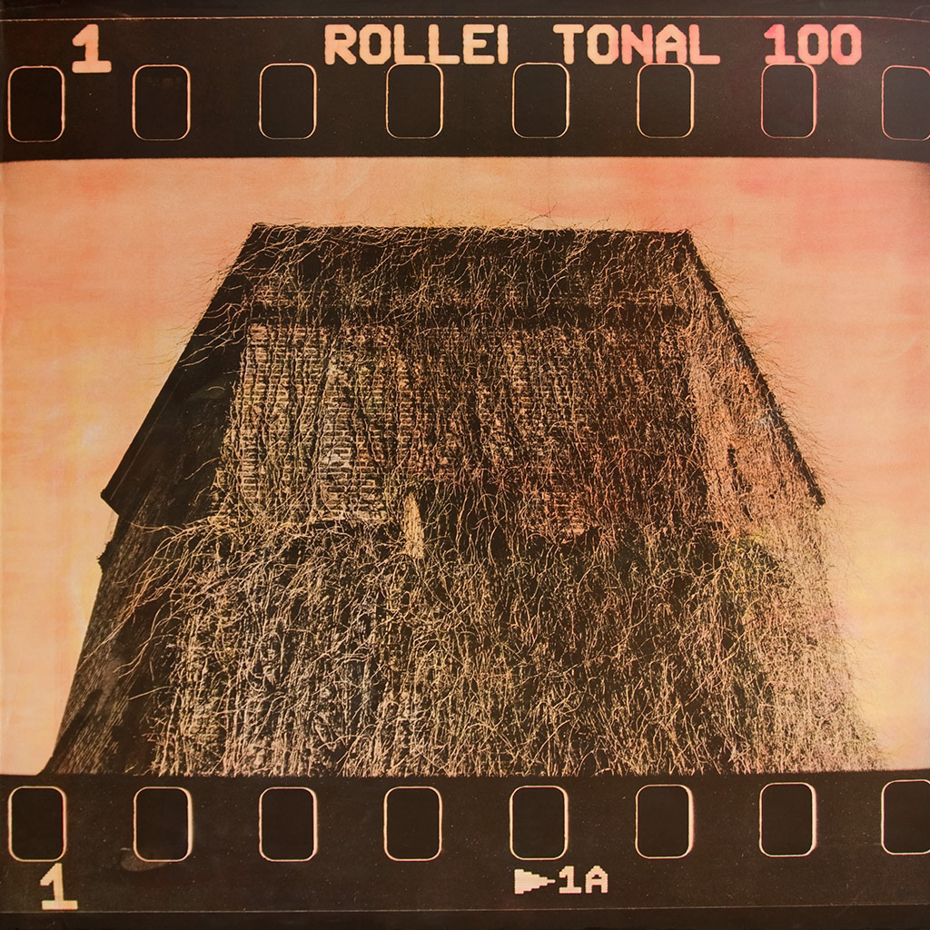 We don‘t need a lifetime we are following the right line