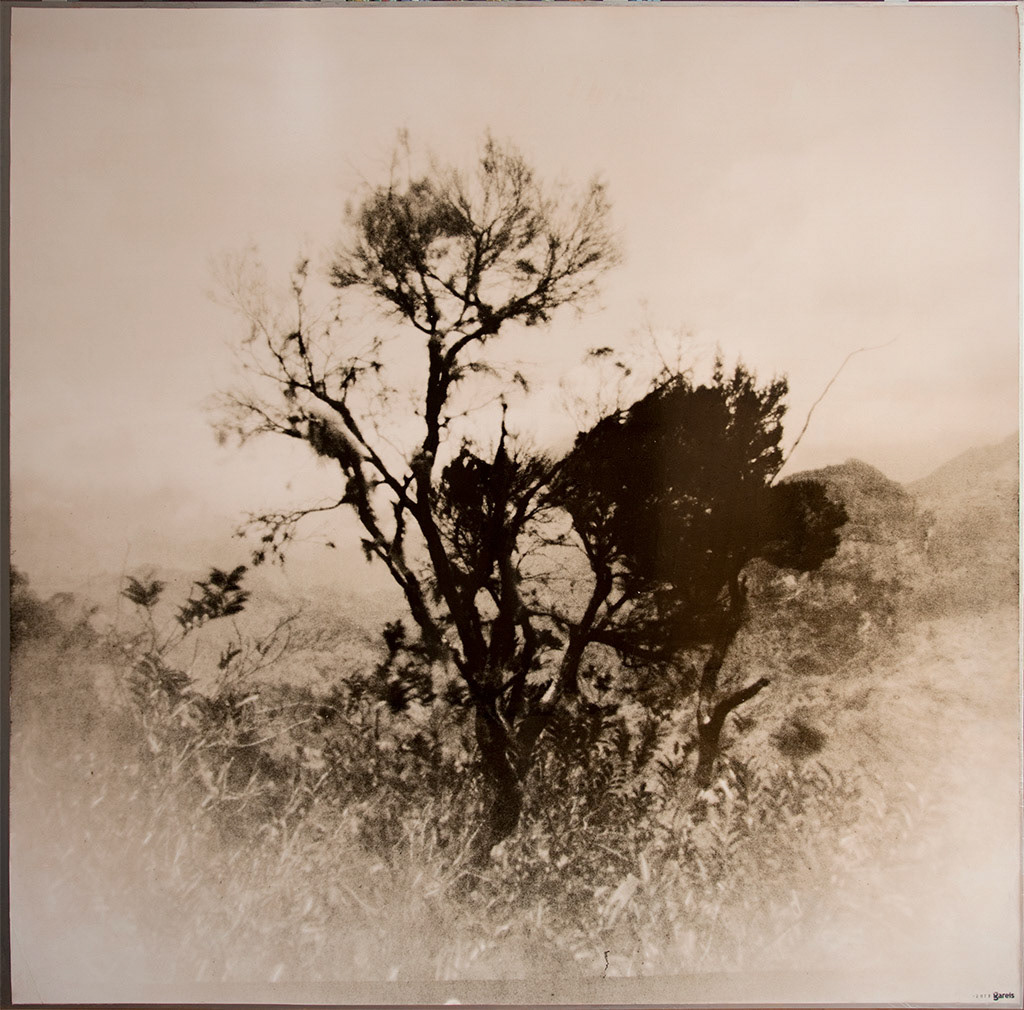 The more I look around the more