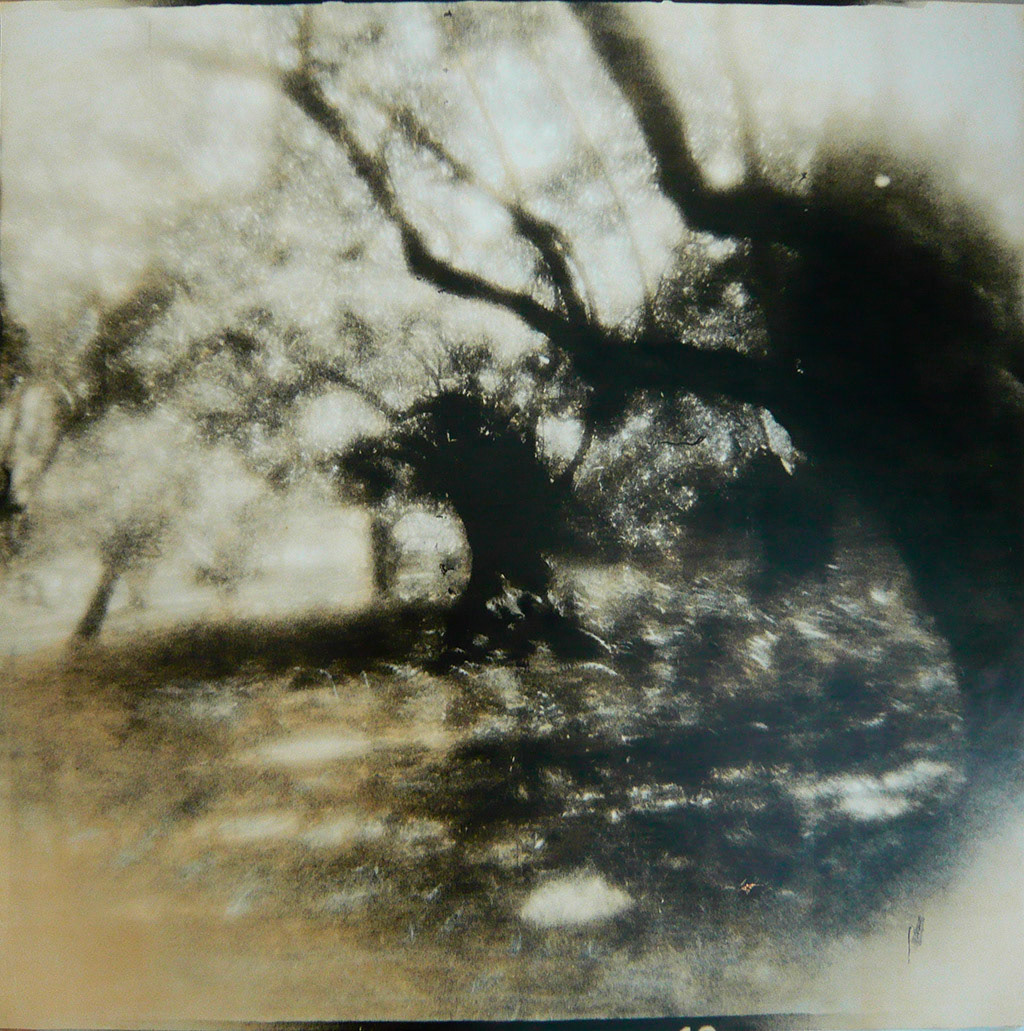 My secret garden is not so secret any more