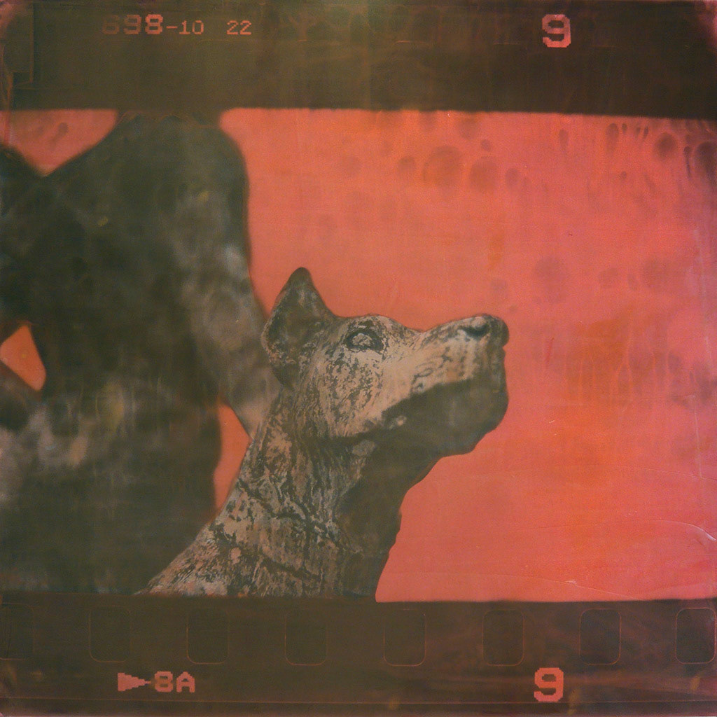 Annmcal Collective Eternity