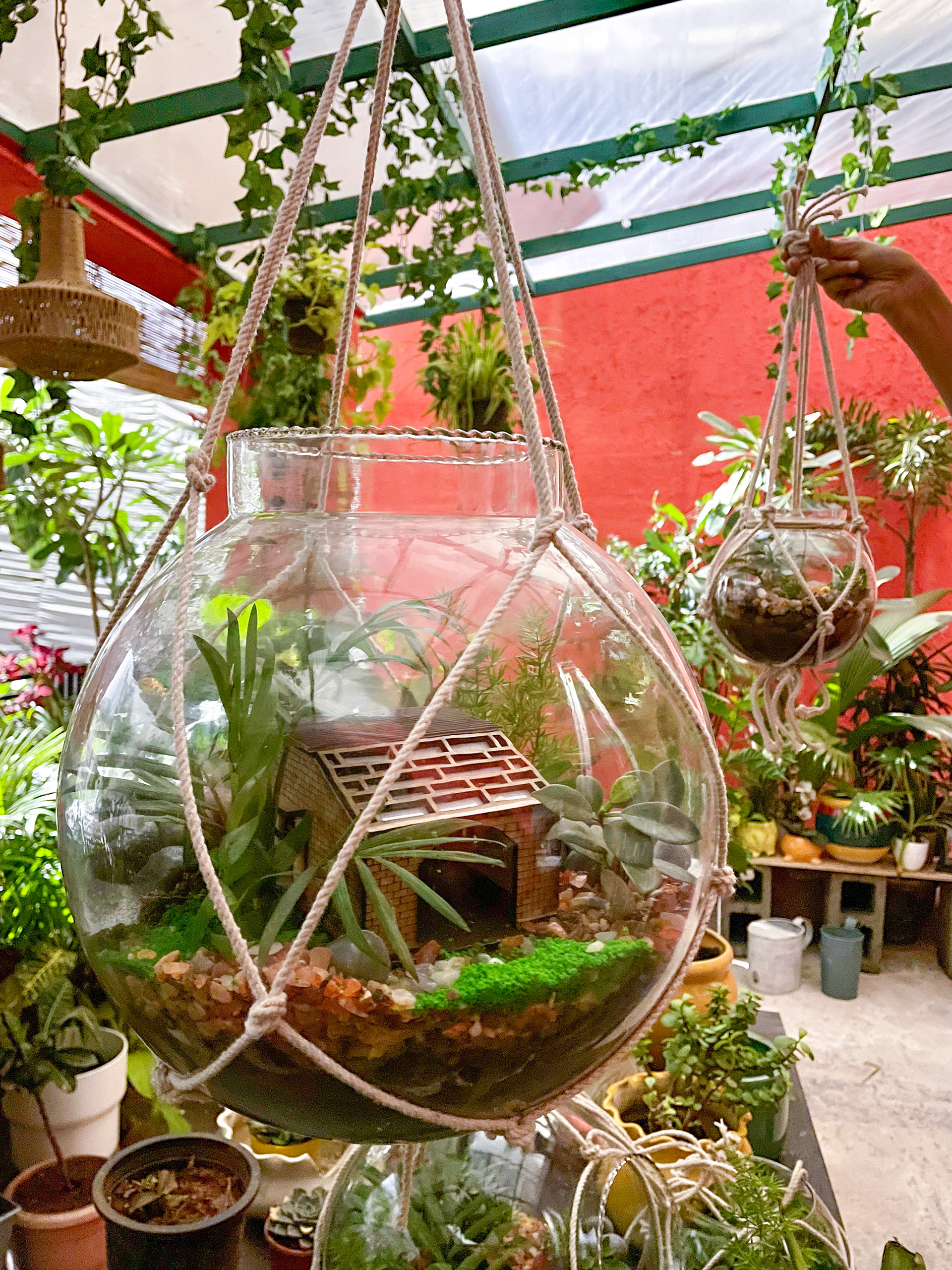 Terrarium