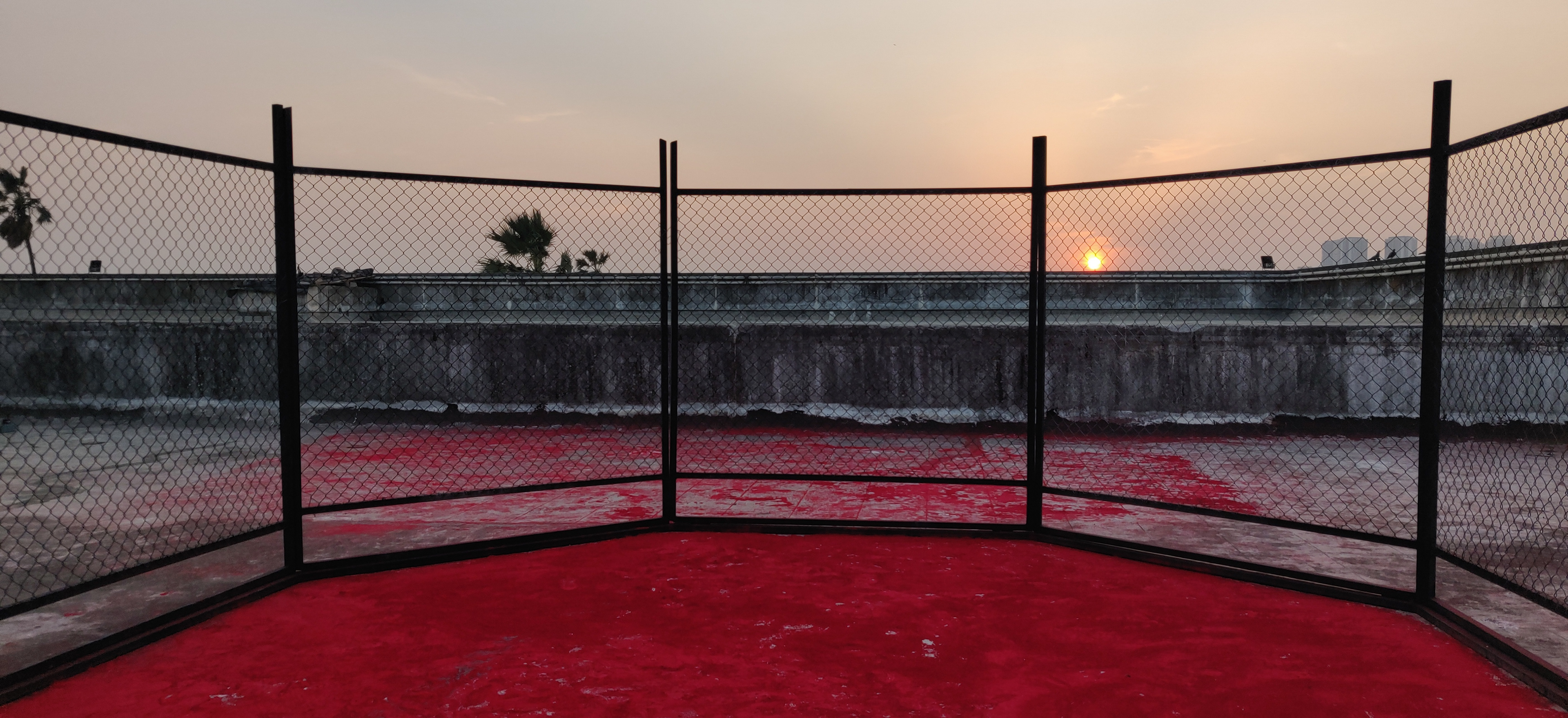 MMA Cage